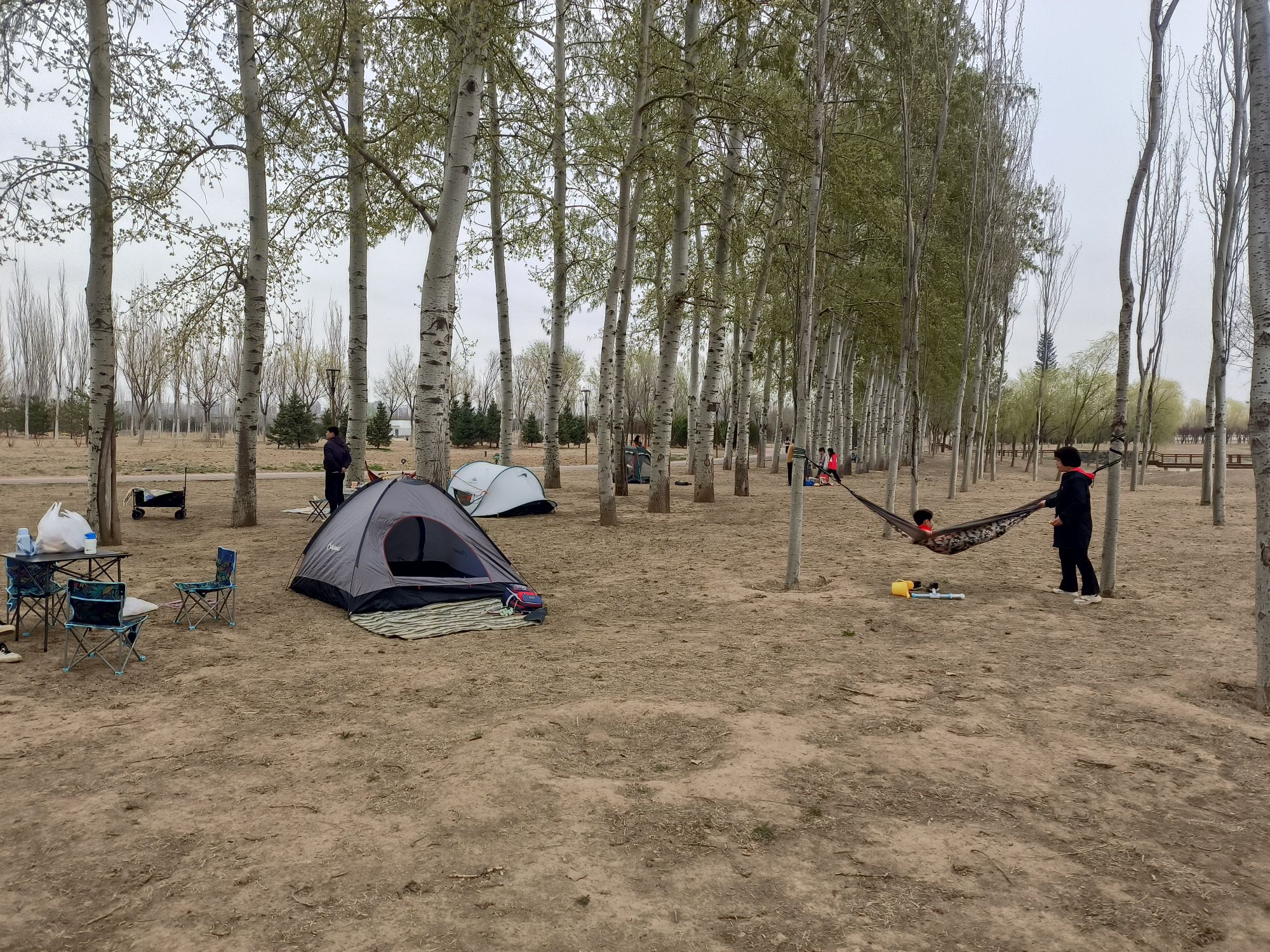 黑桥公园旅行图片