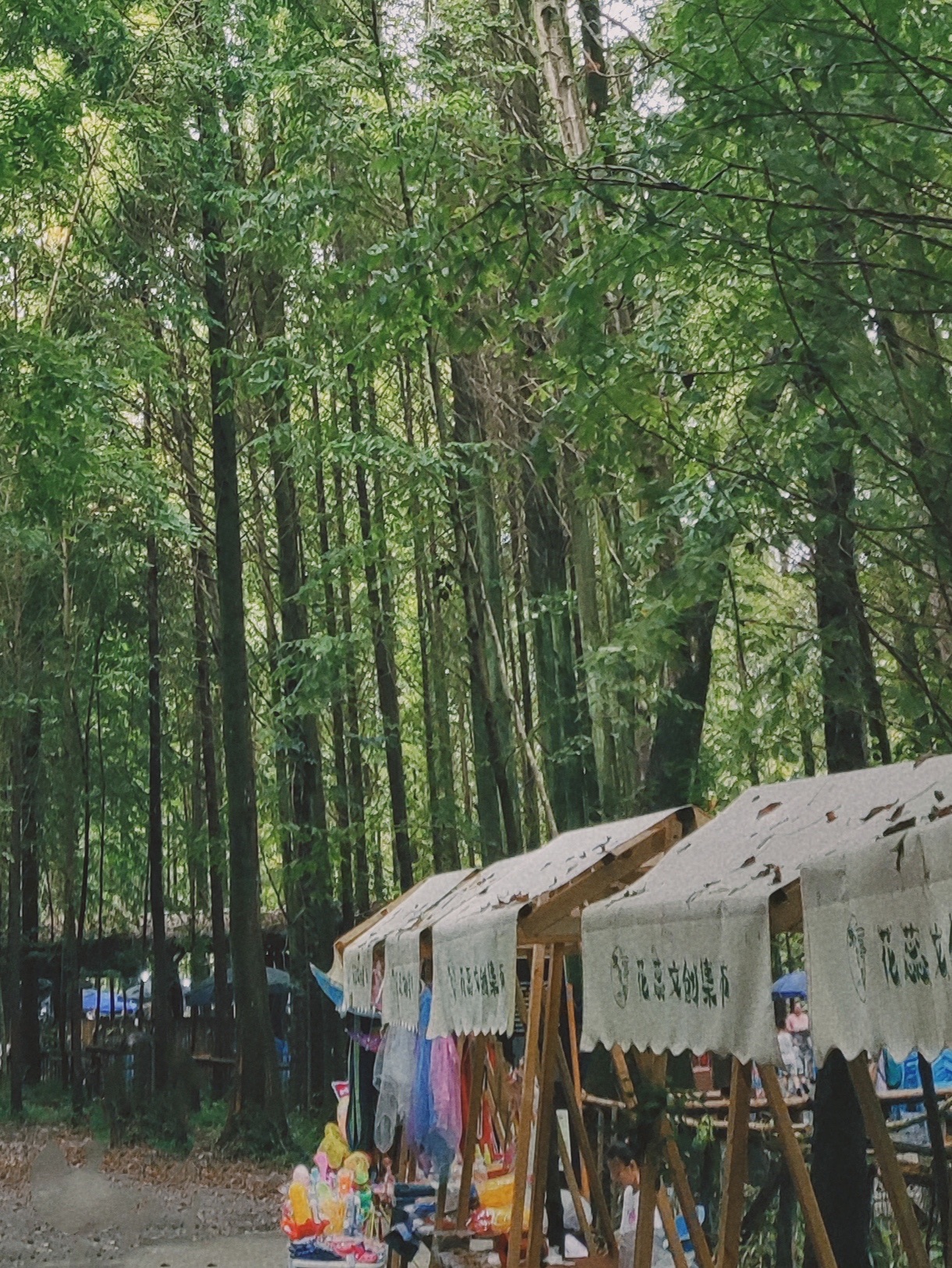 朱家湾林盘景区
