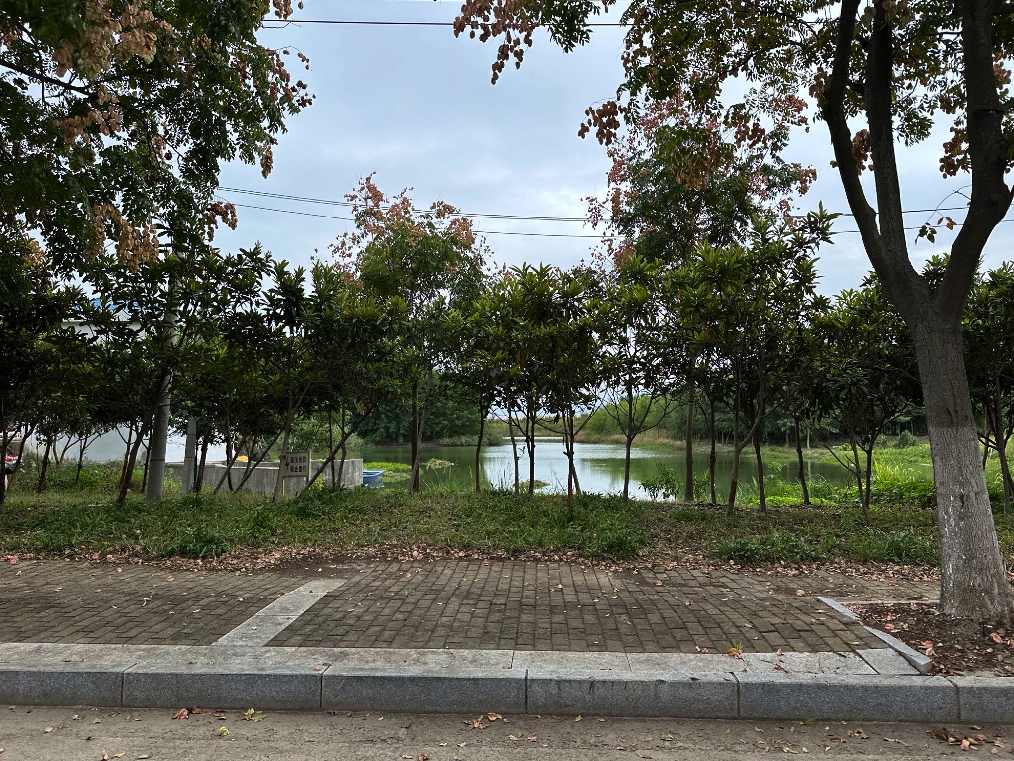 建湖县植物园
