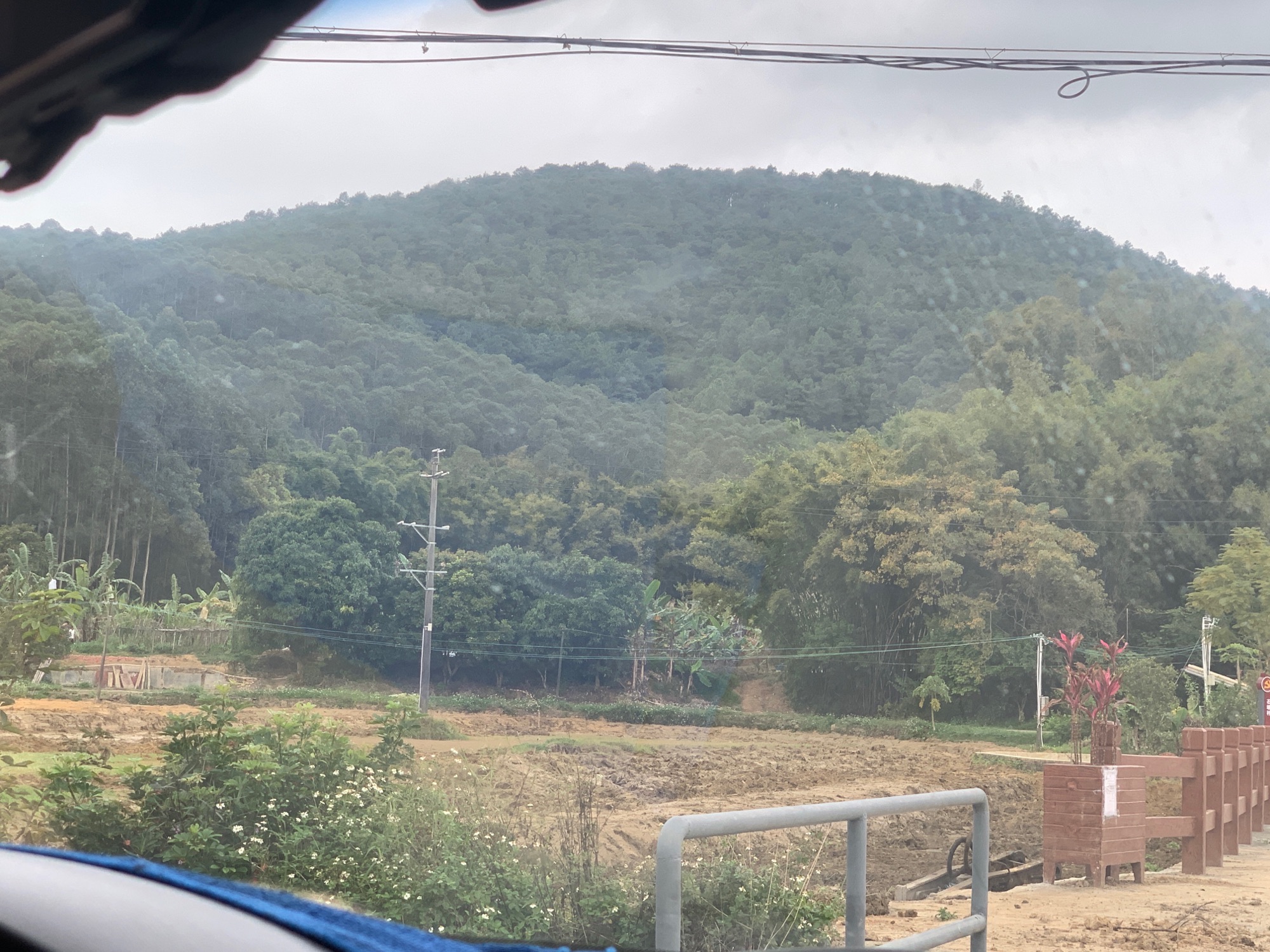 明城郁金香公园