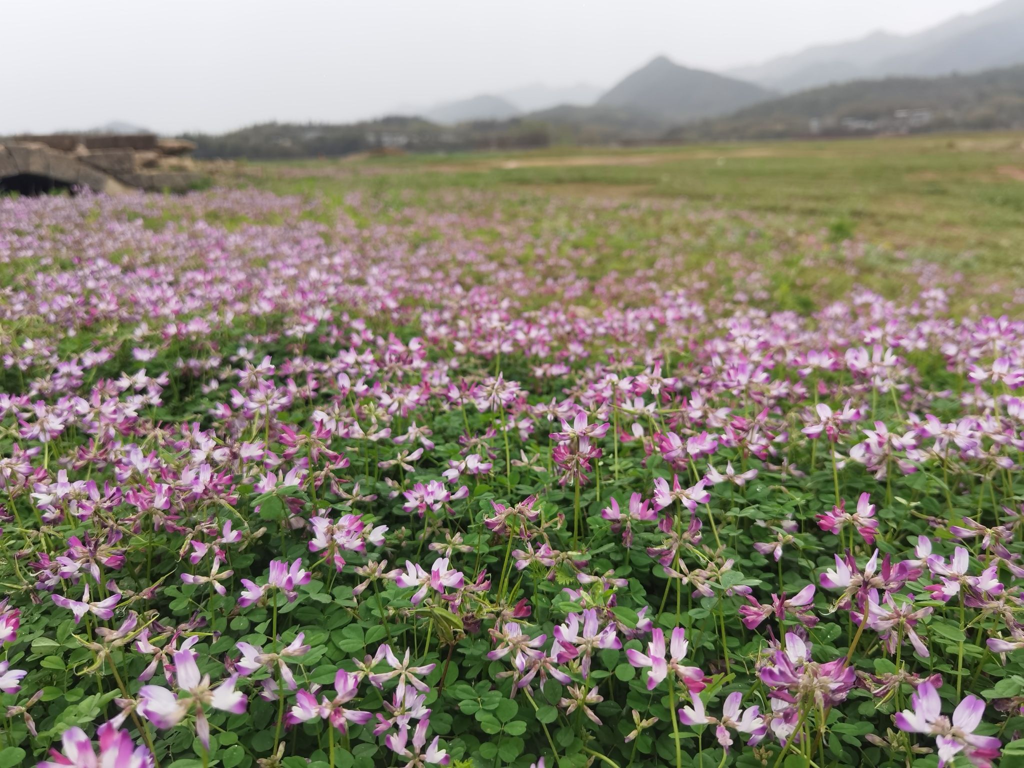 花海世界