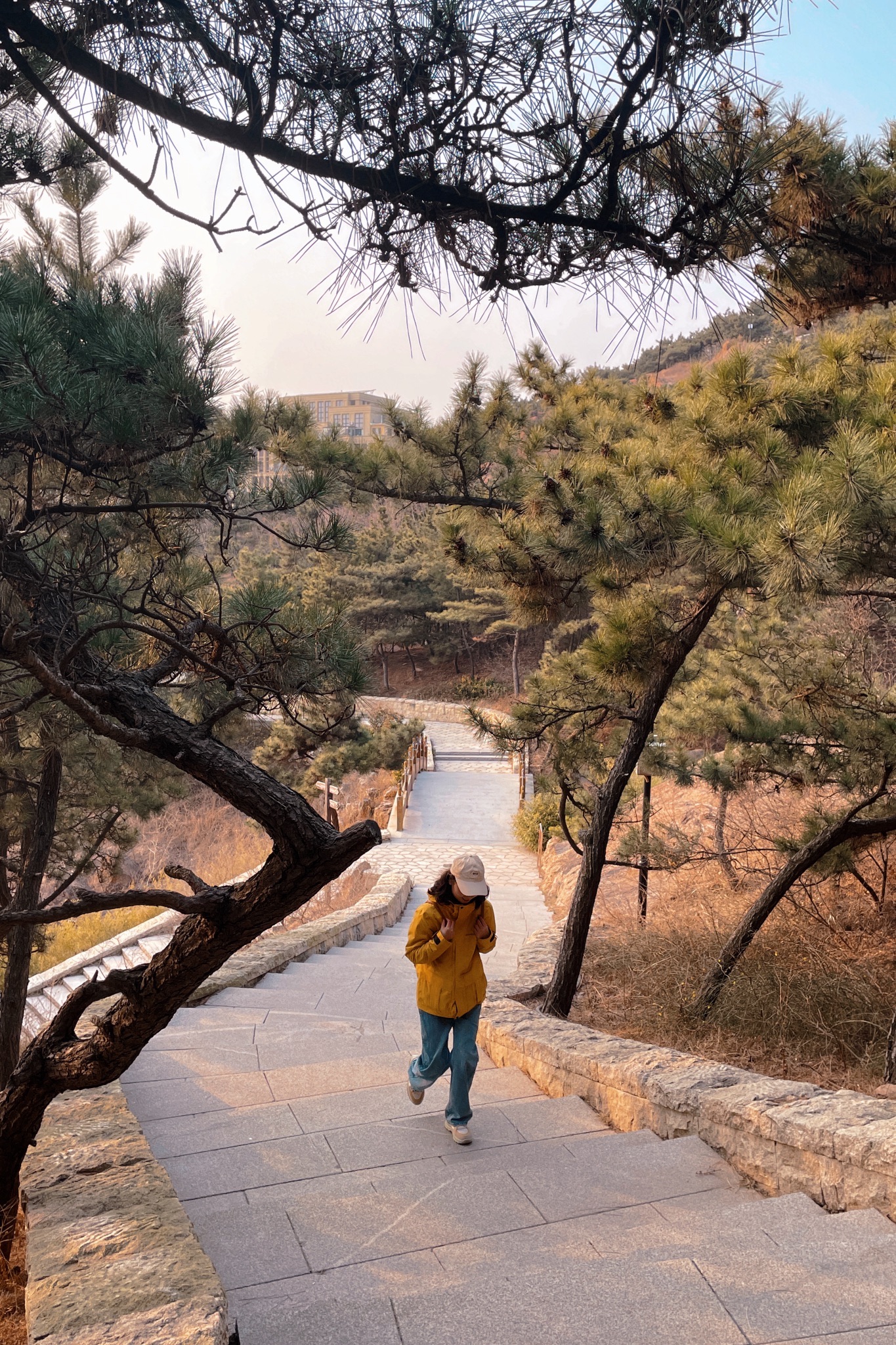 老虎山公园旅行图片