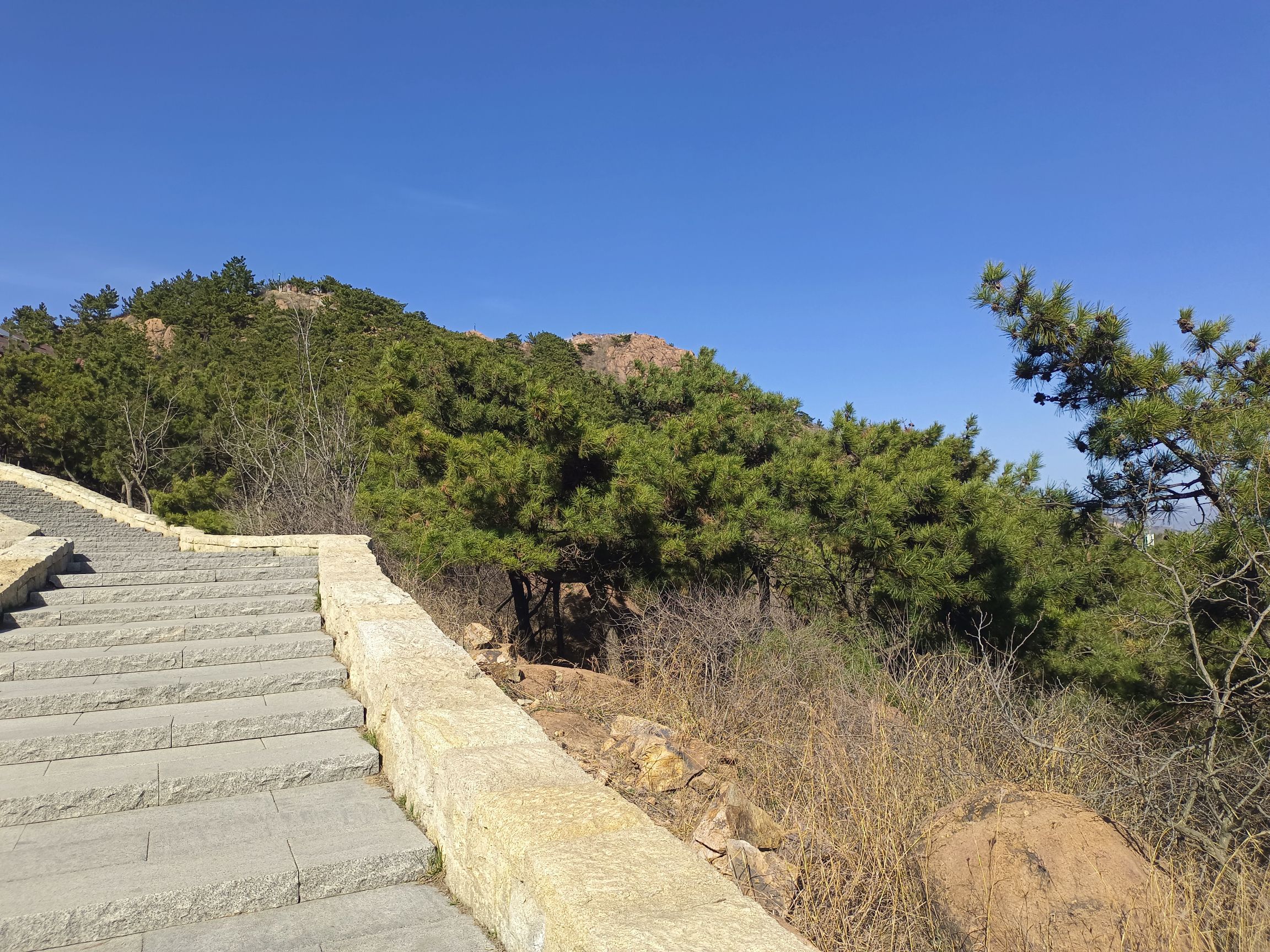 老虎山公园旅行图片