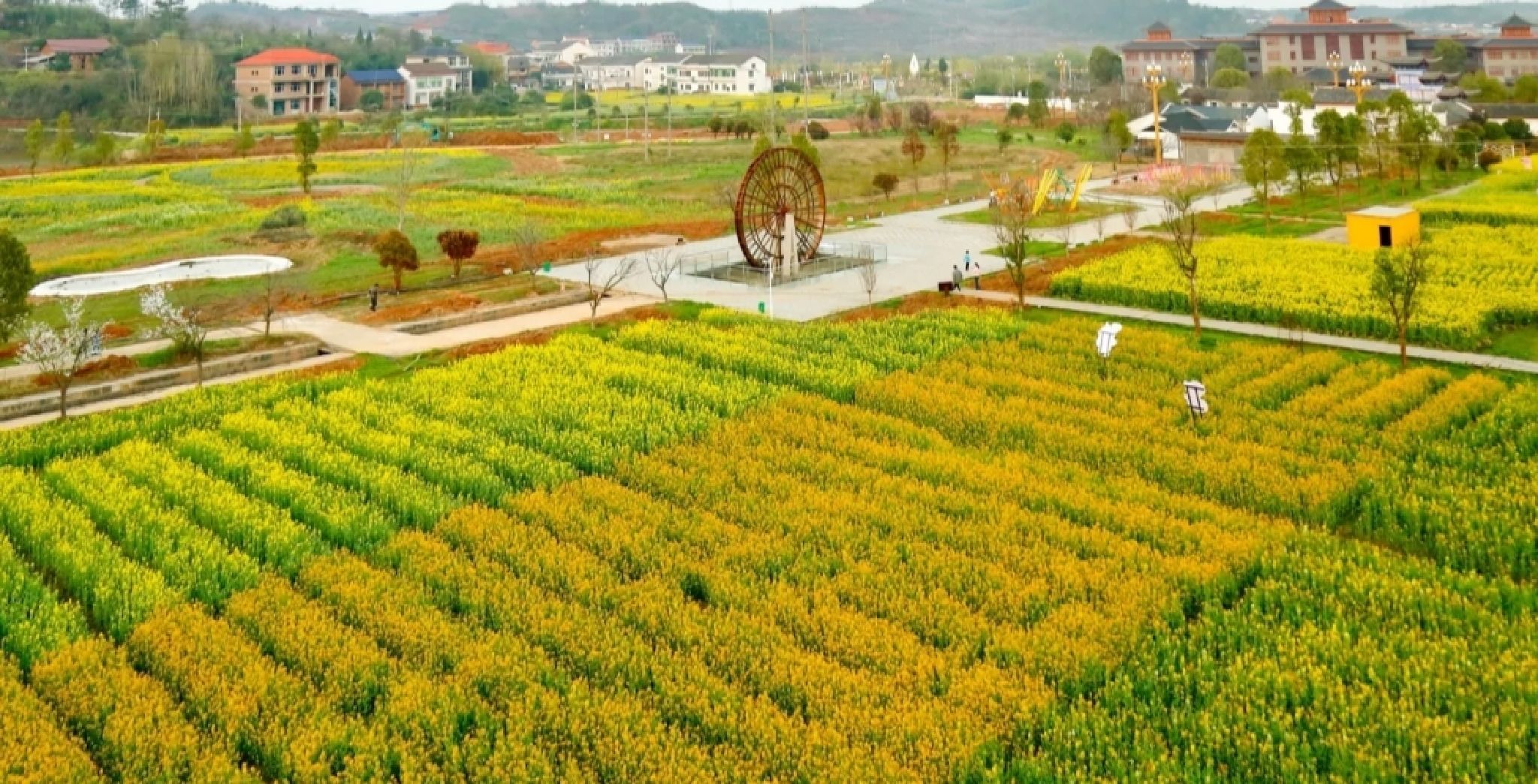 湖南衡山萱洲国家湿地公园旅行图片