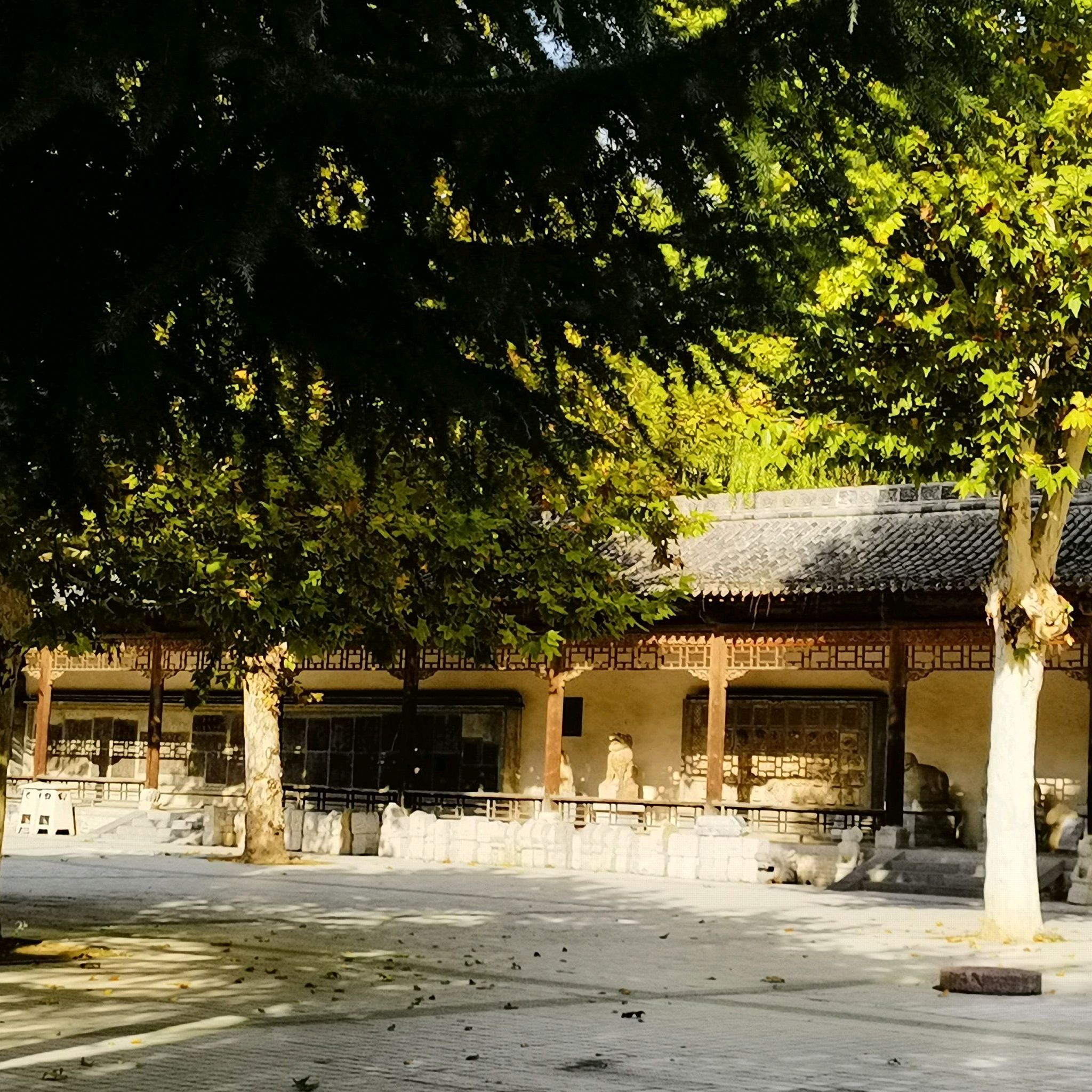 舜帝德孝文化旅游景区旅行图片