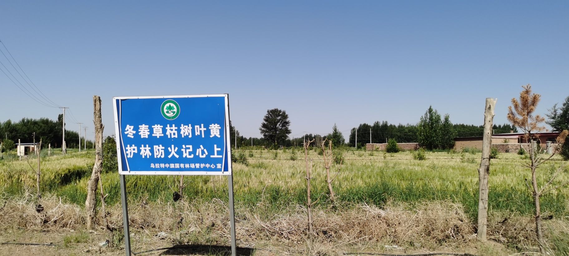 乌拉特草原旅行图片