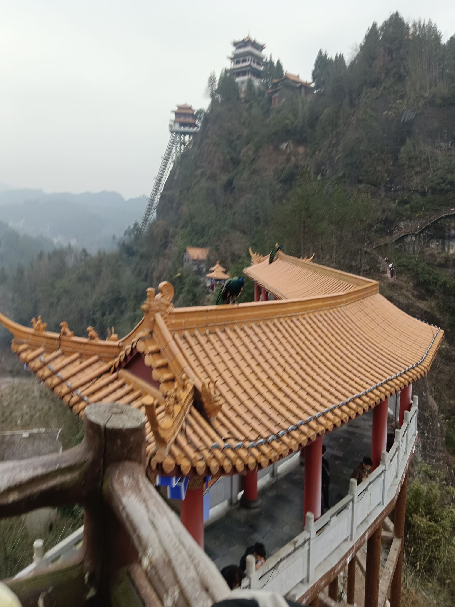 太平山景区