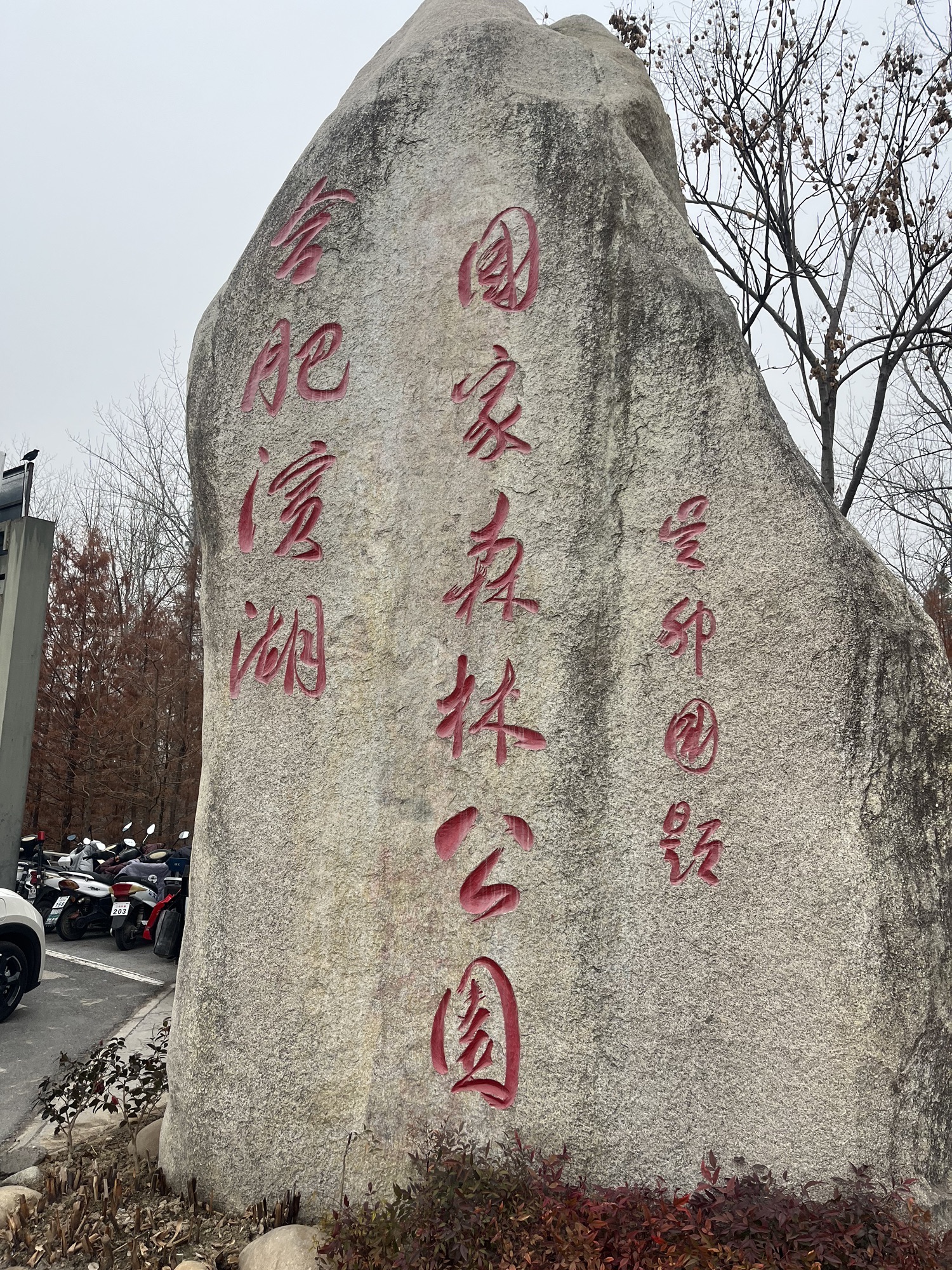 合肥巢湖湖滨国家湿地公园