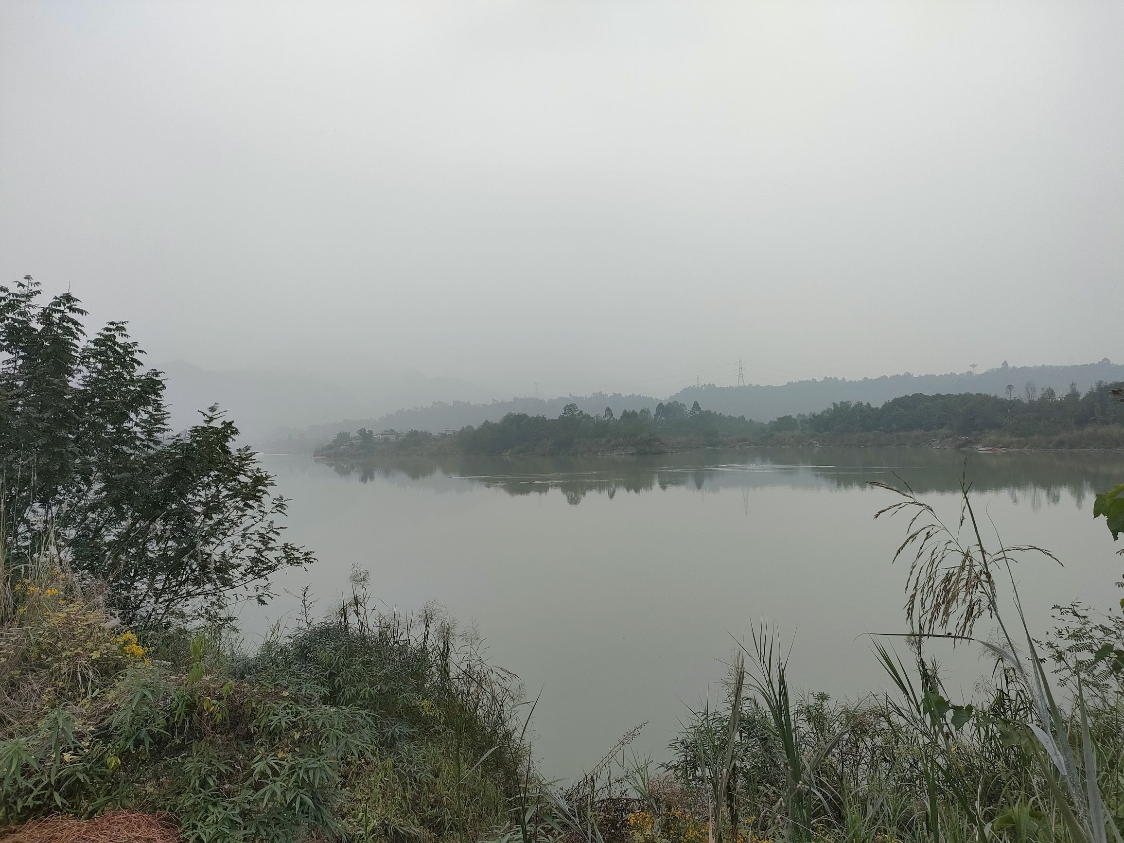 大渡河湿地公园