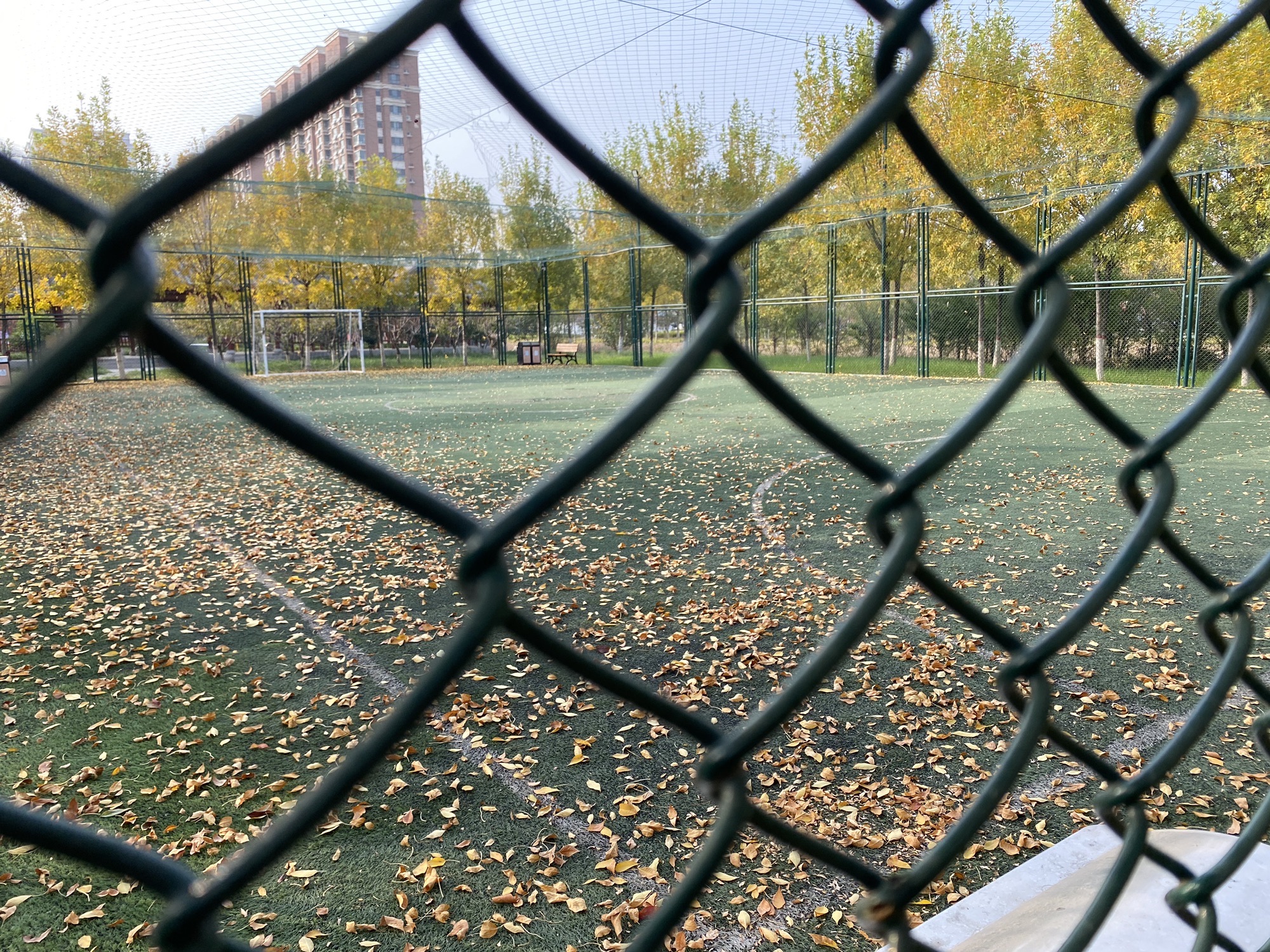 博雅公园