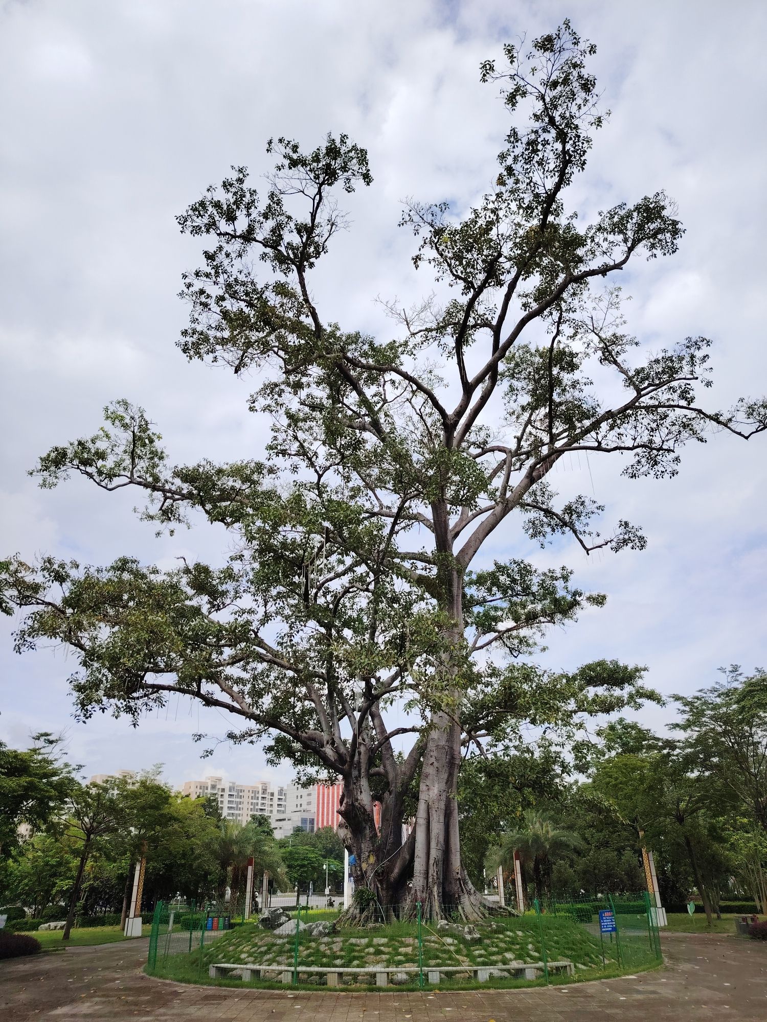崇左市法治公园