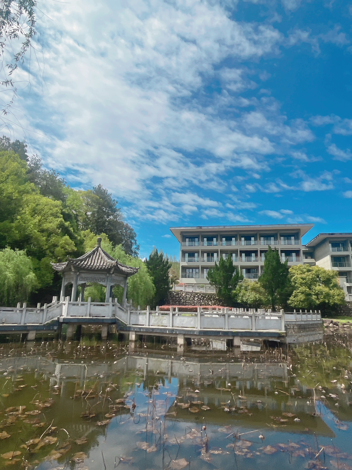 银鹿森林公园