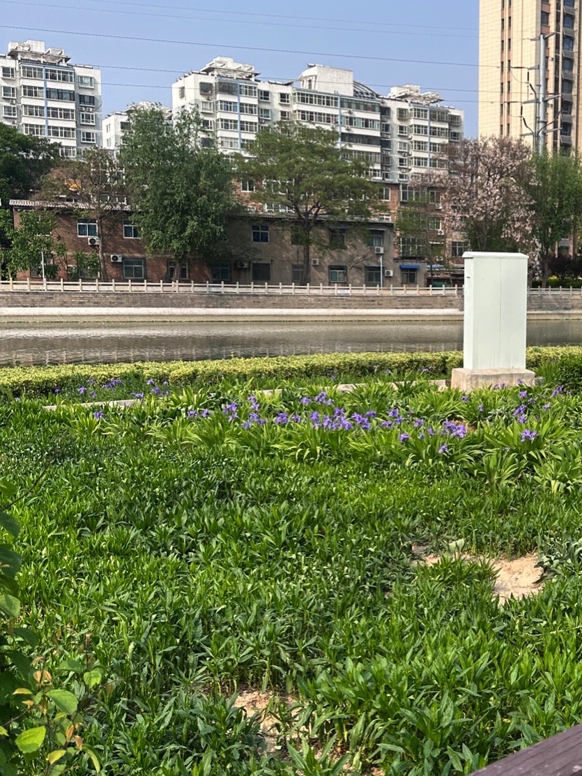 牛尾河公园旅行图片