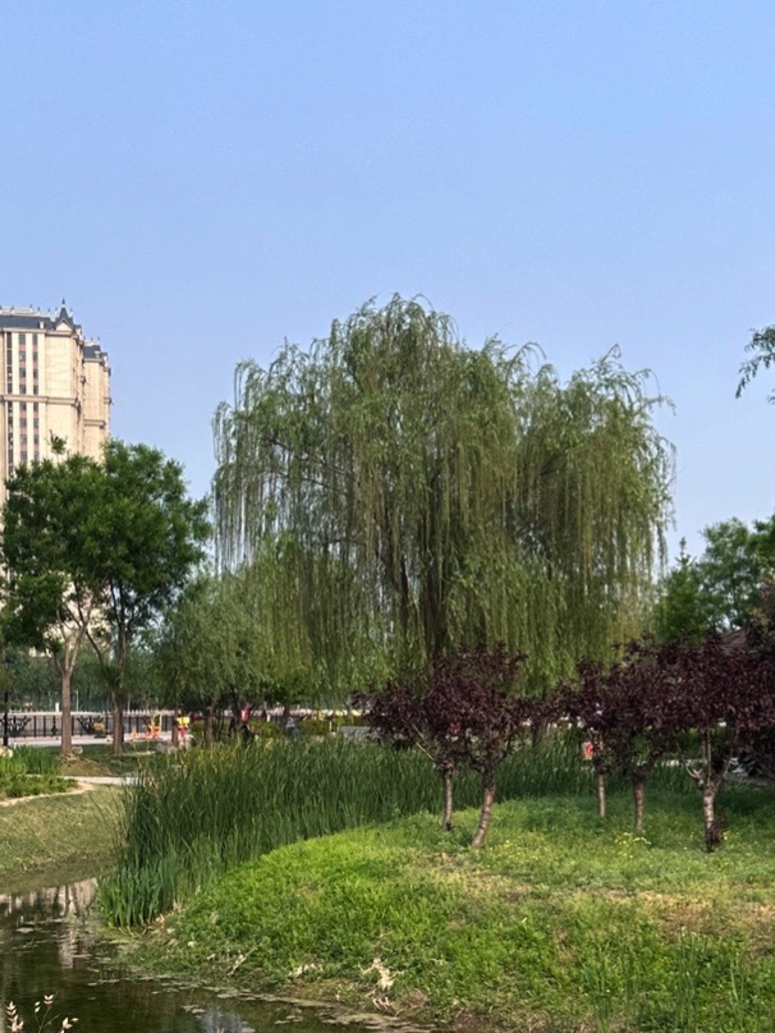 牛尾河公园旅行图片