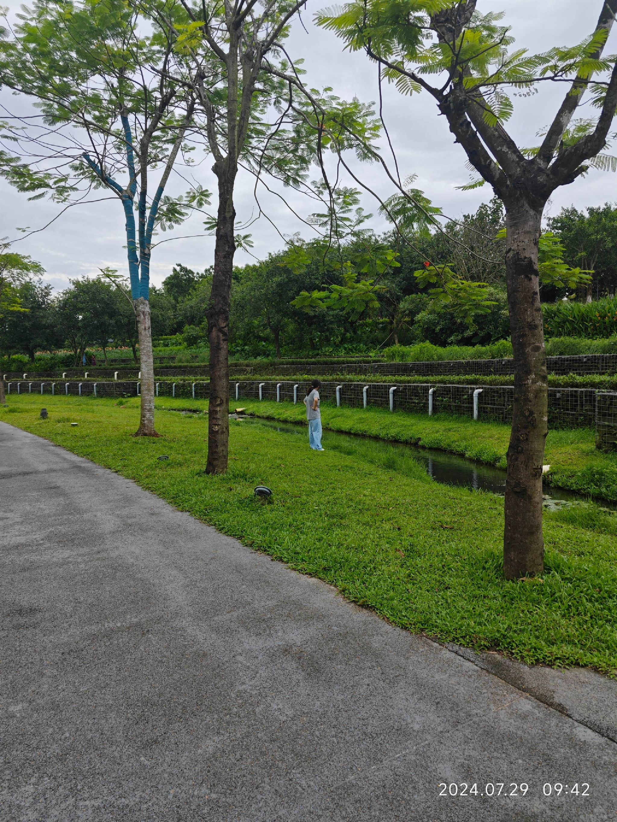 美舍河群上湿地公园