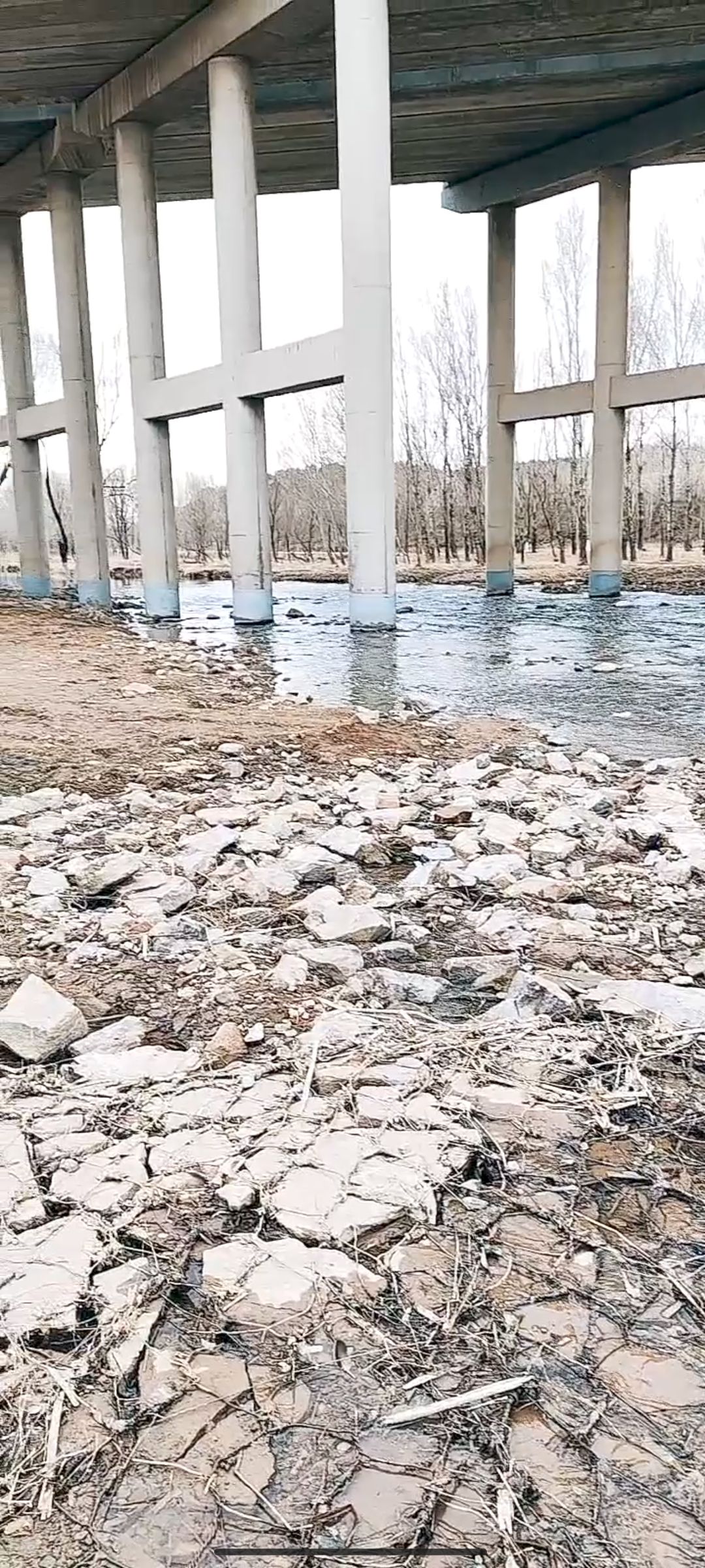北票凉水河湿地旅游区