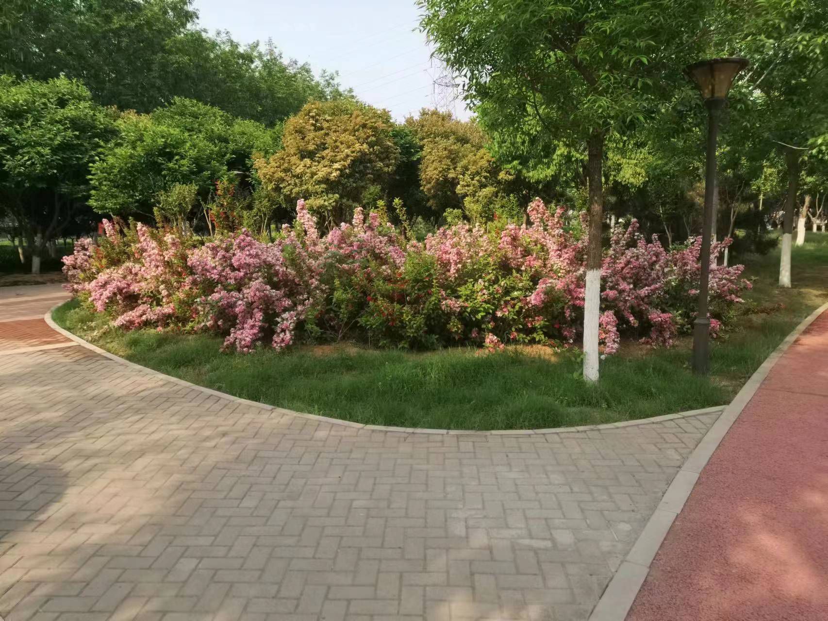 封丘县健康主题公园