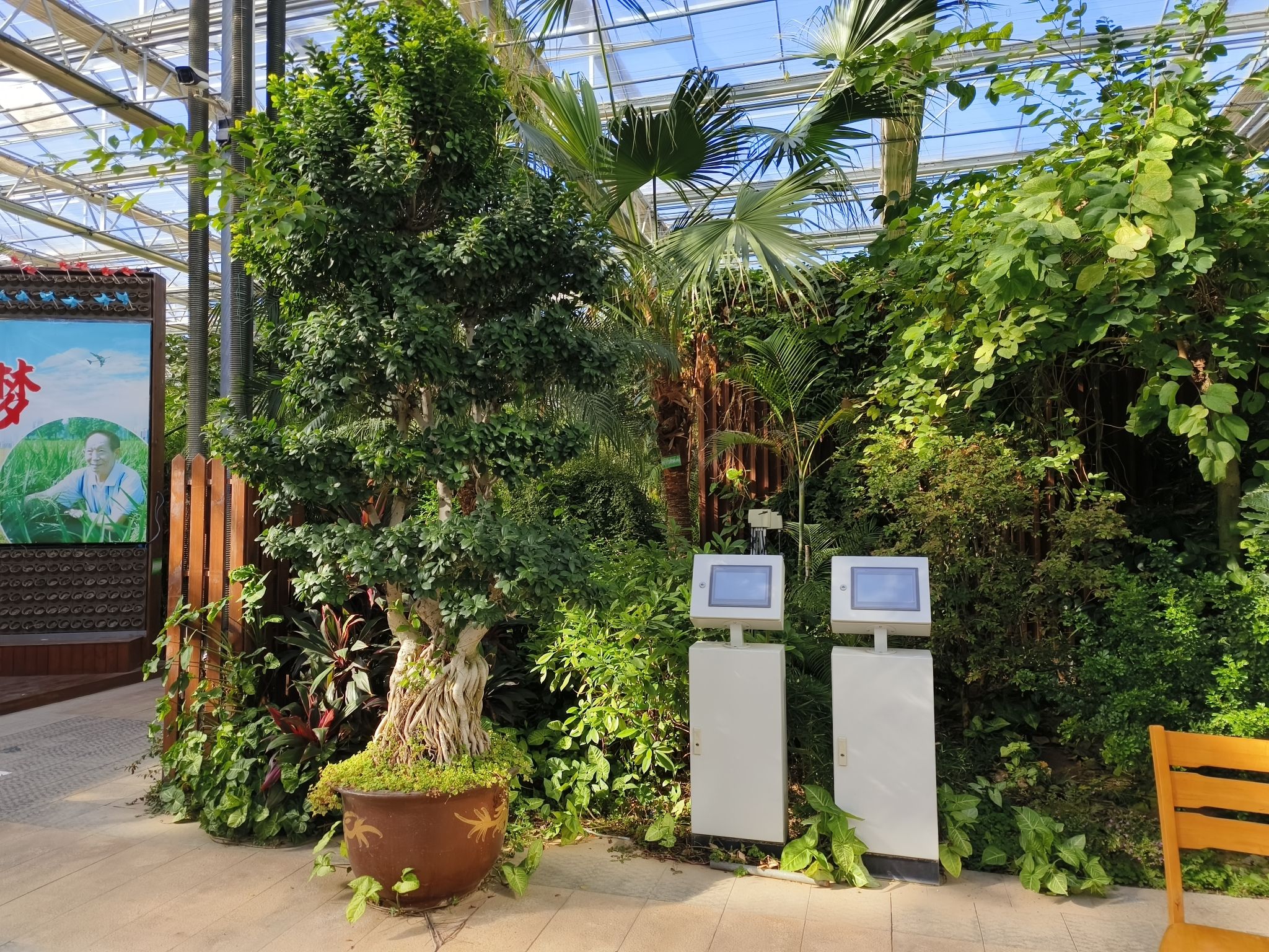 梨花小镇植物博览园旅行图片