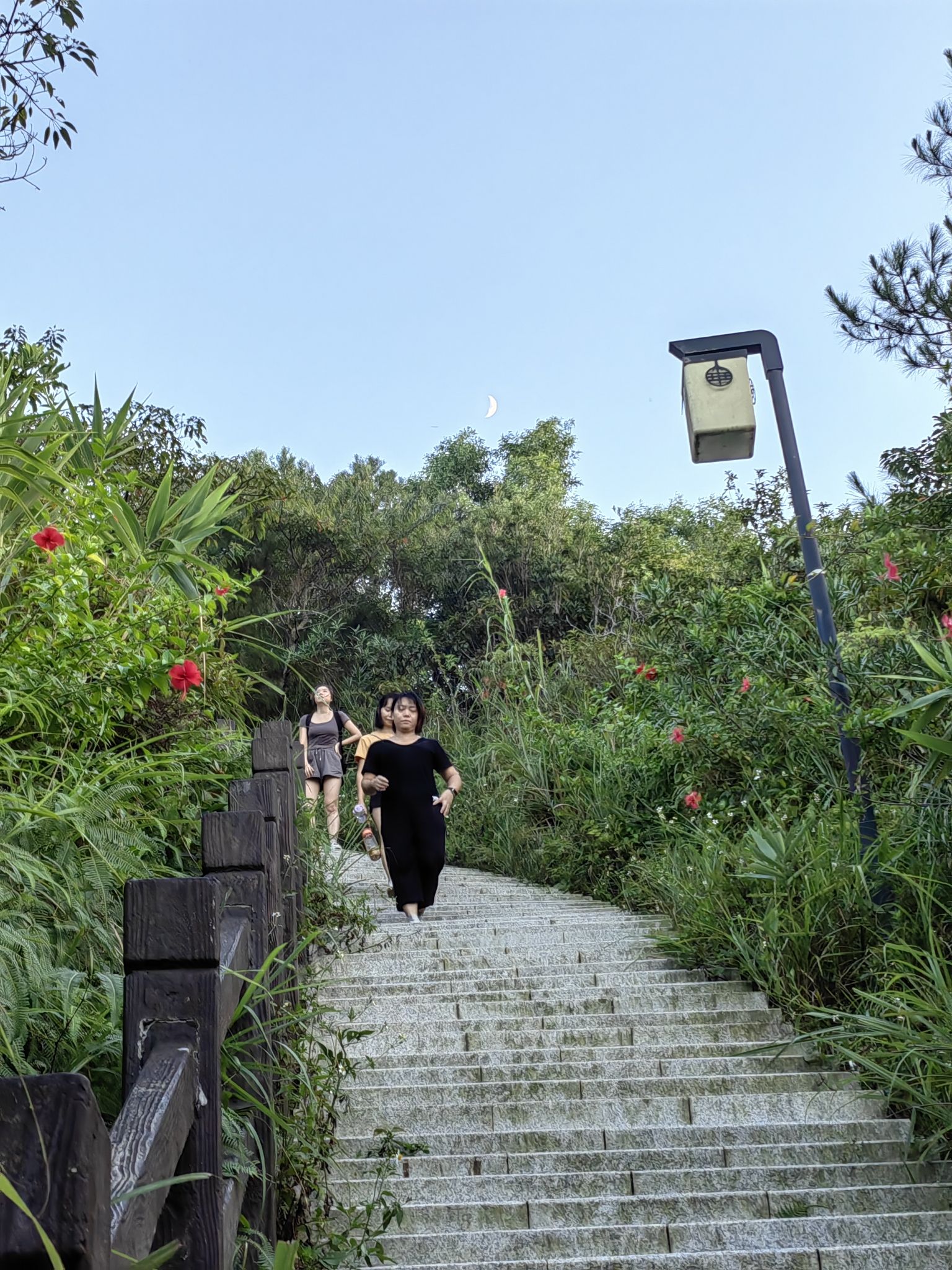 寨场山森林公园