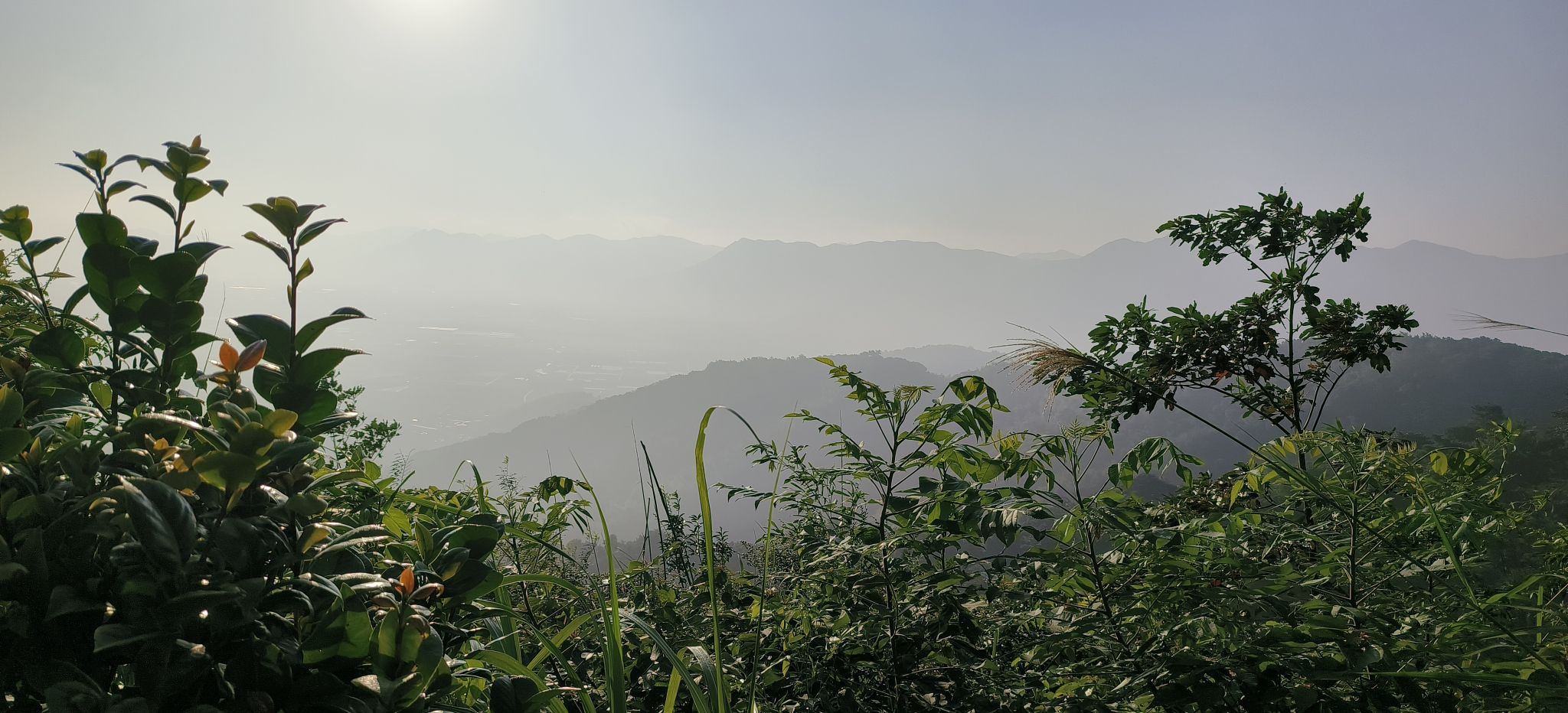 南山塔(瑞峰塔)