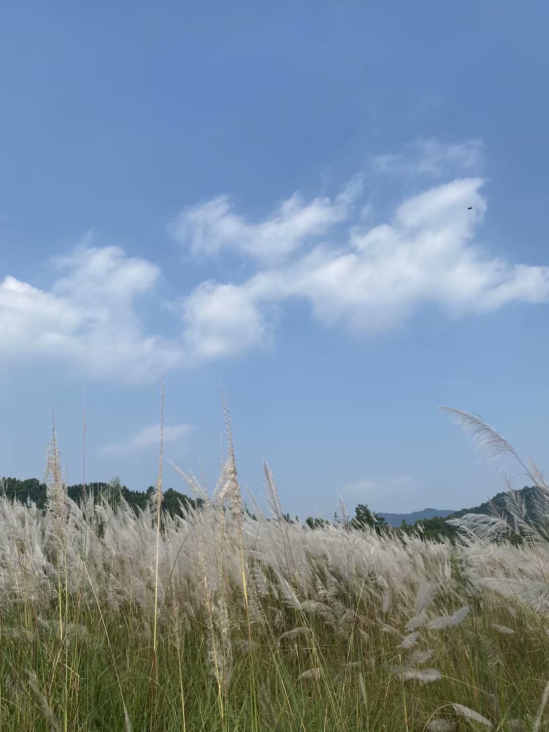 龙门山湔江河谷生态旅游区旅行图片