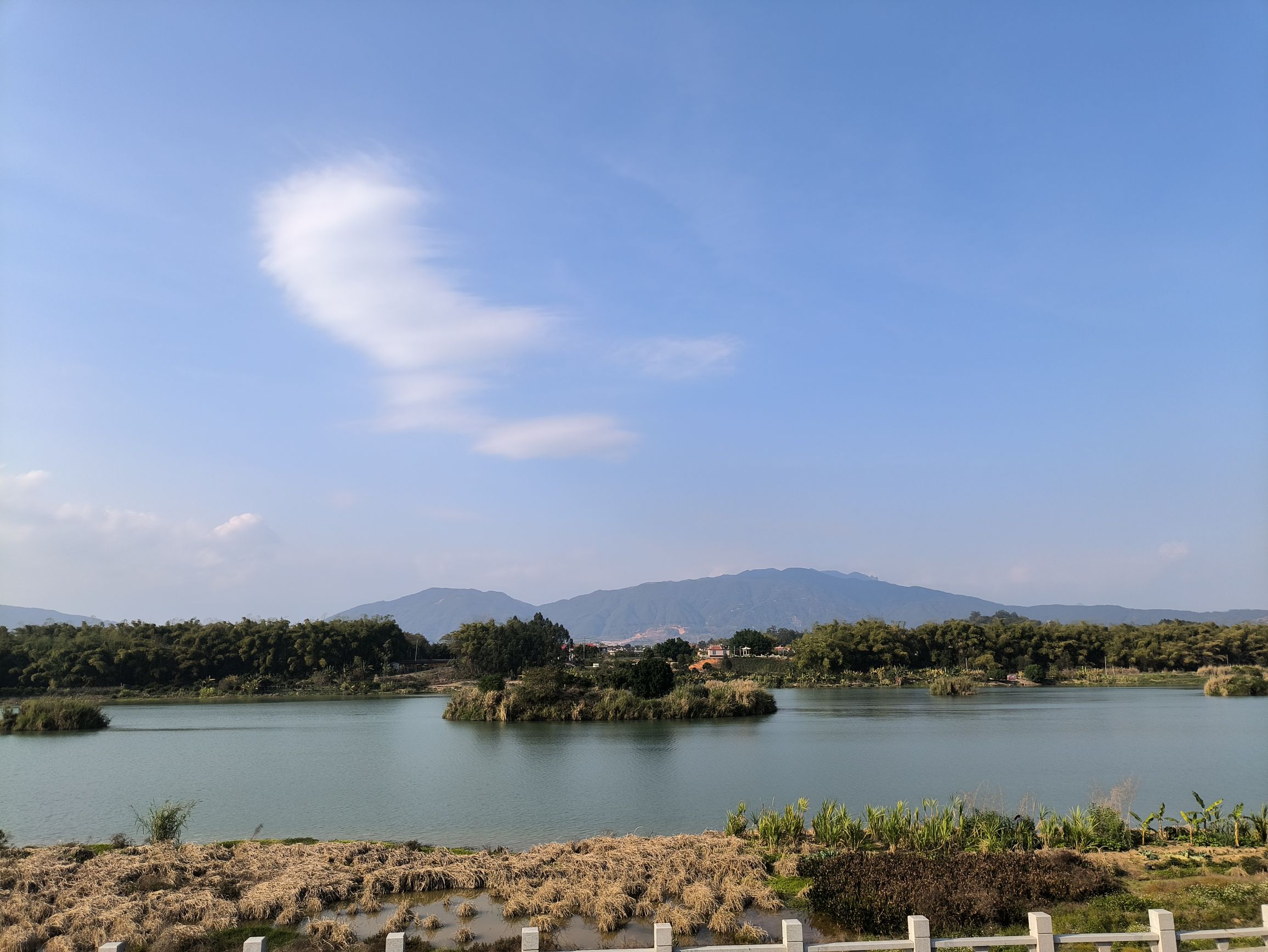 忆芗公园旅行图片