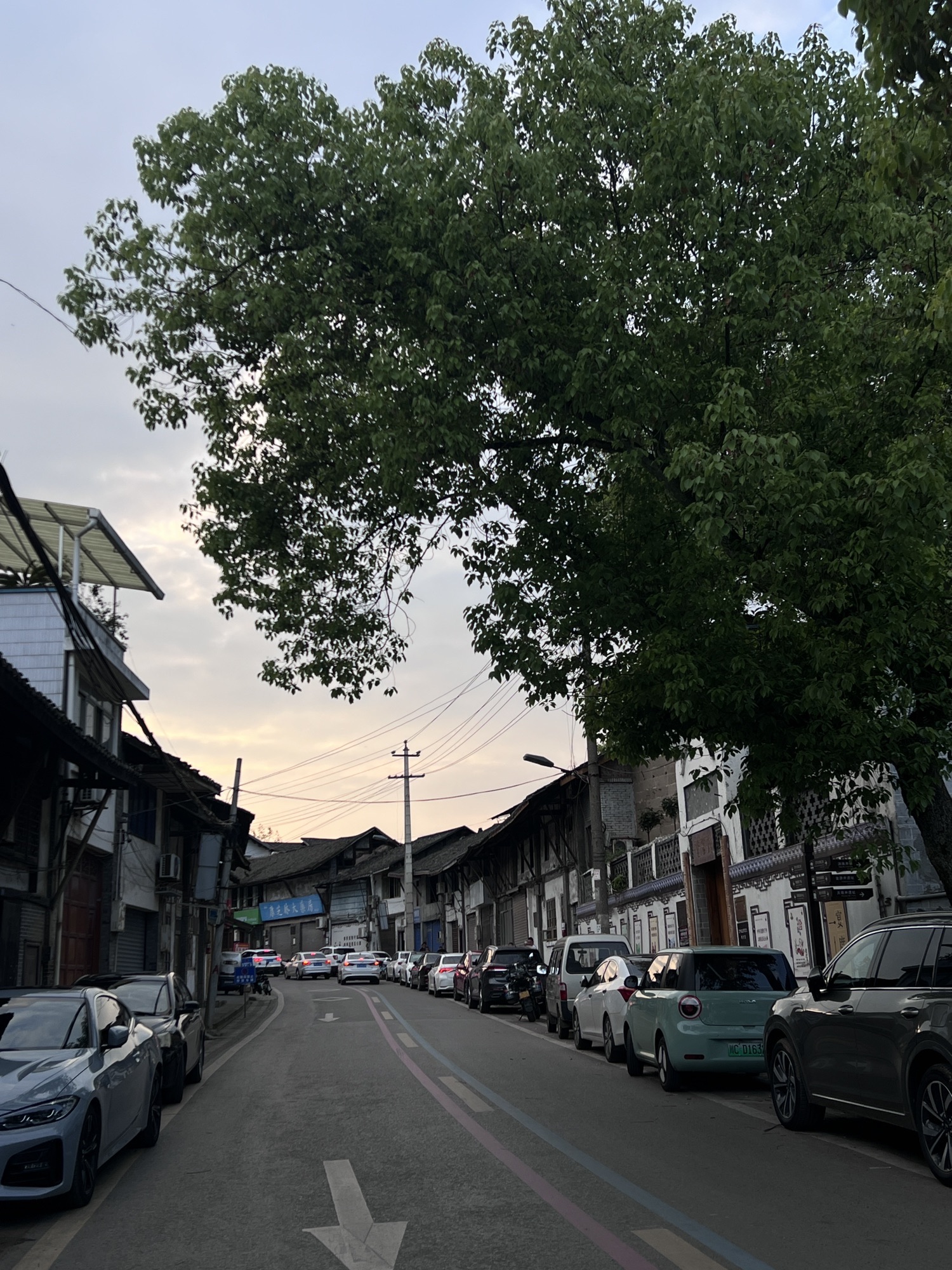 艾叶古镇旅行图片