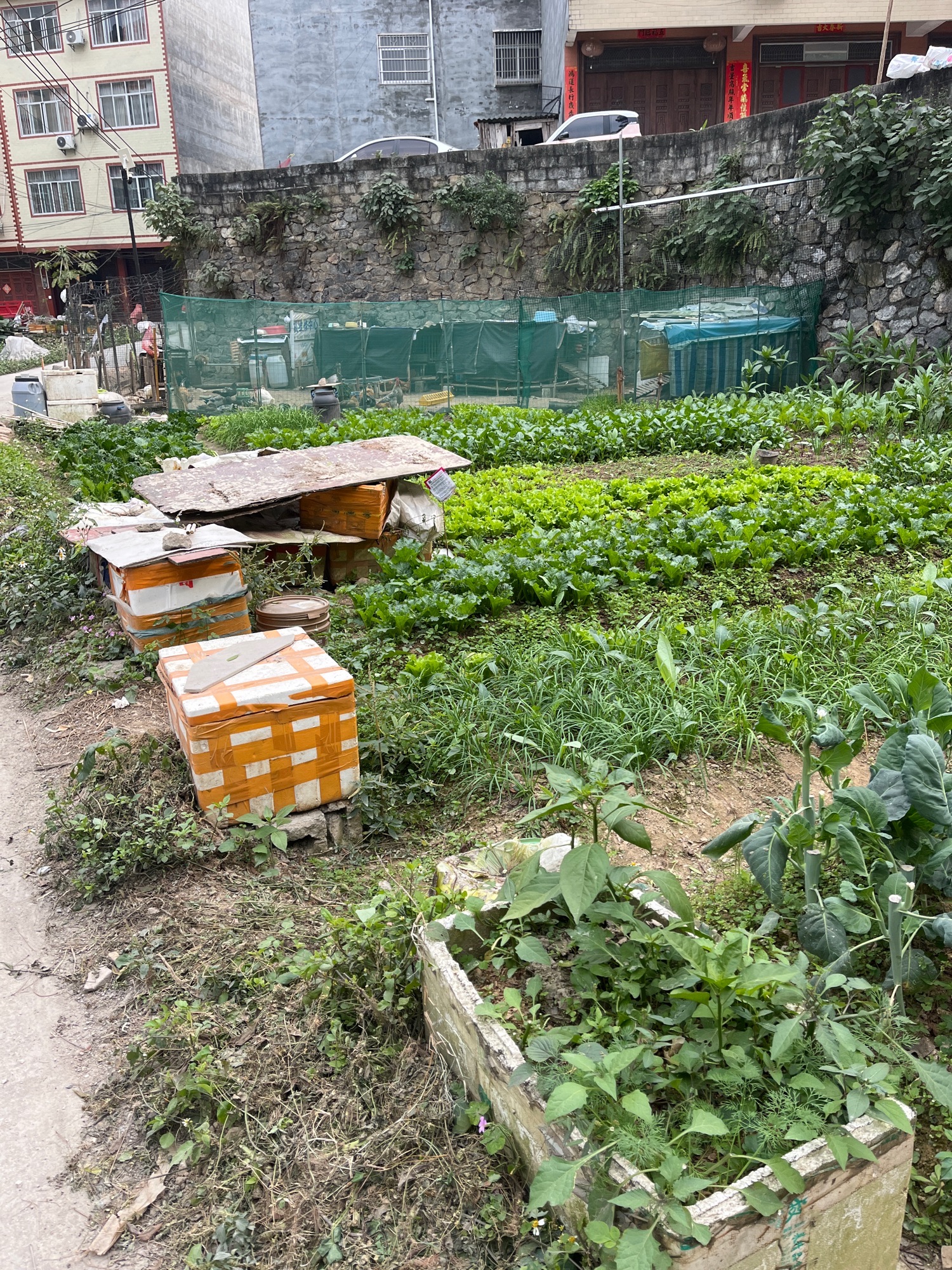 巴马滨水公园
