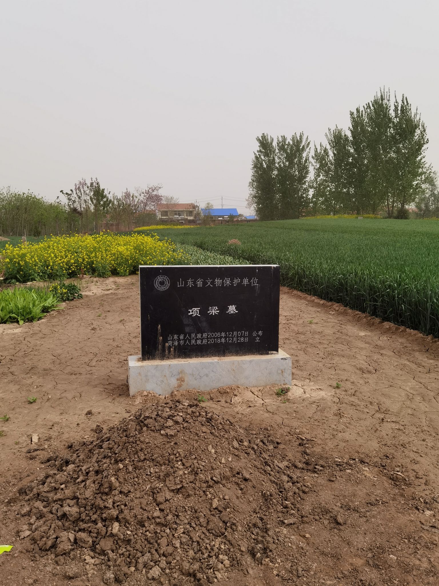 项梁墓
