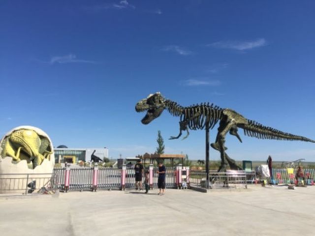 内蒙古二连浩特国家地质公园旅行图片