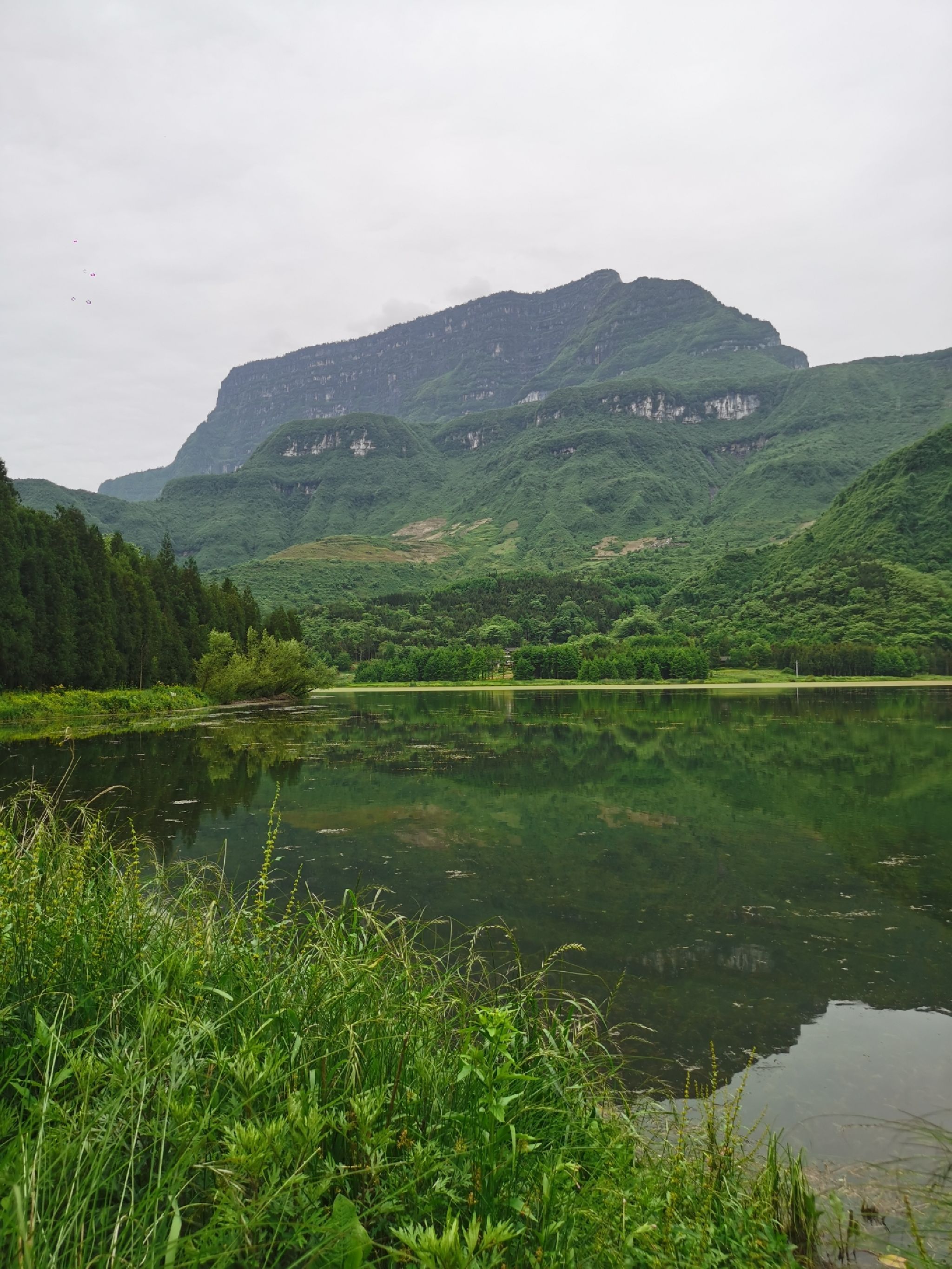 大瓦山国家湿地公园