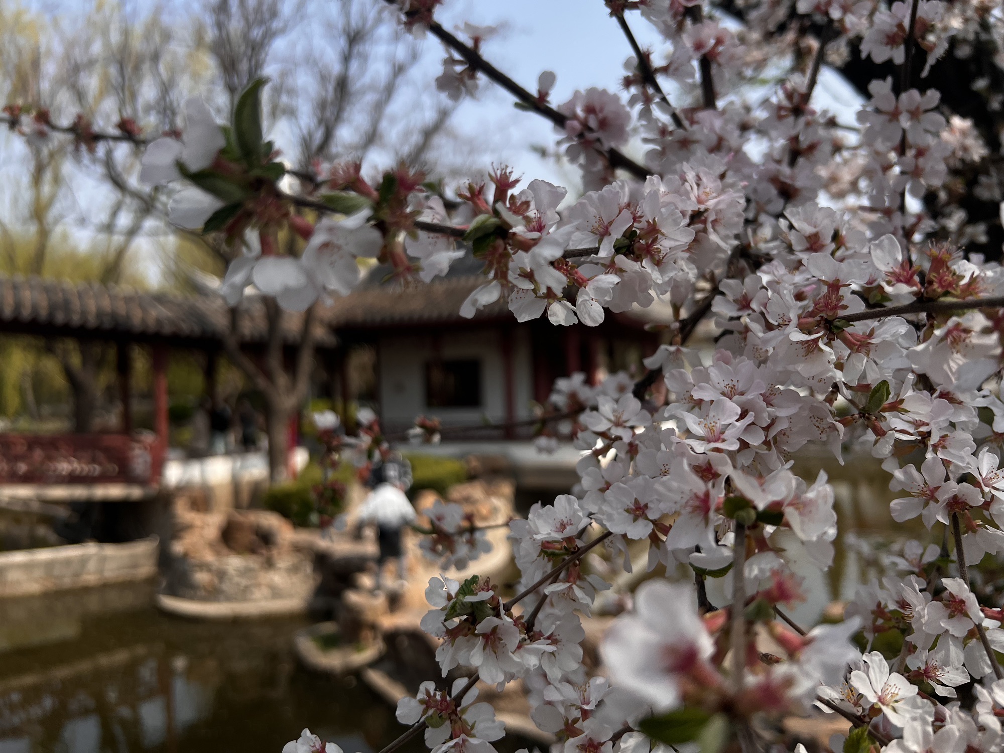 河滨公园-塘沽公园