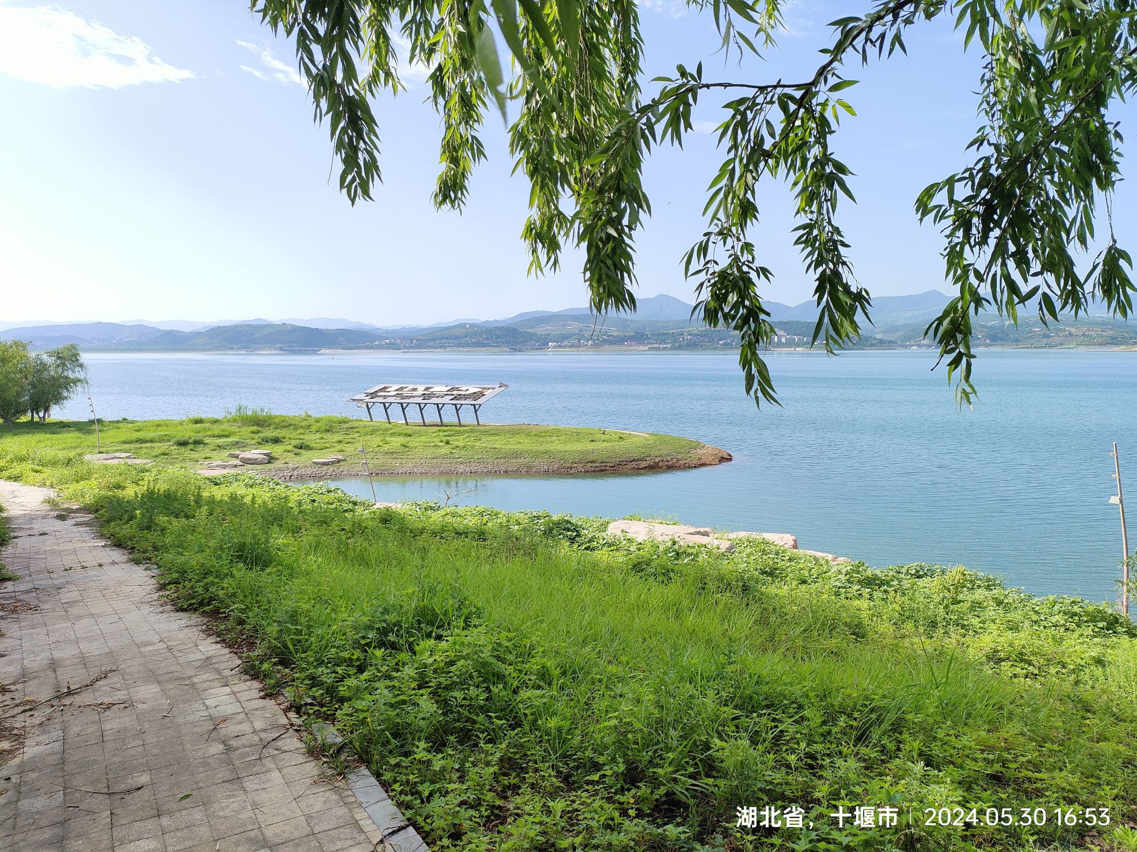 湿地公园