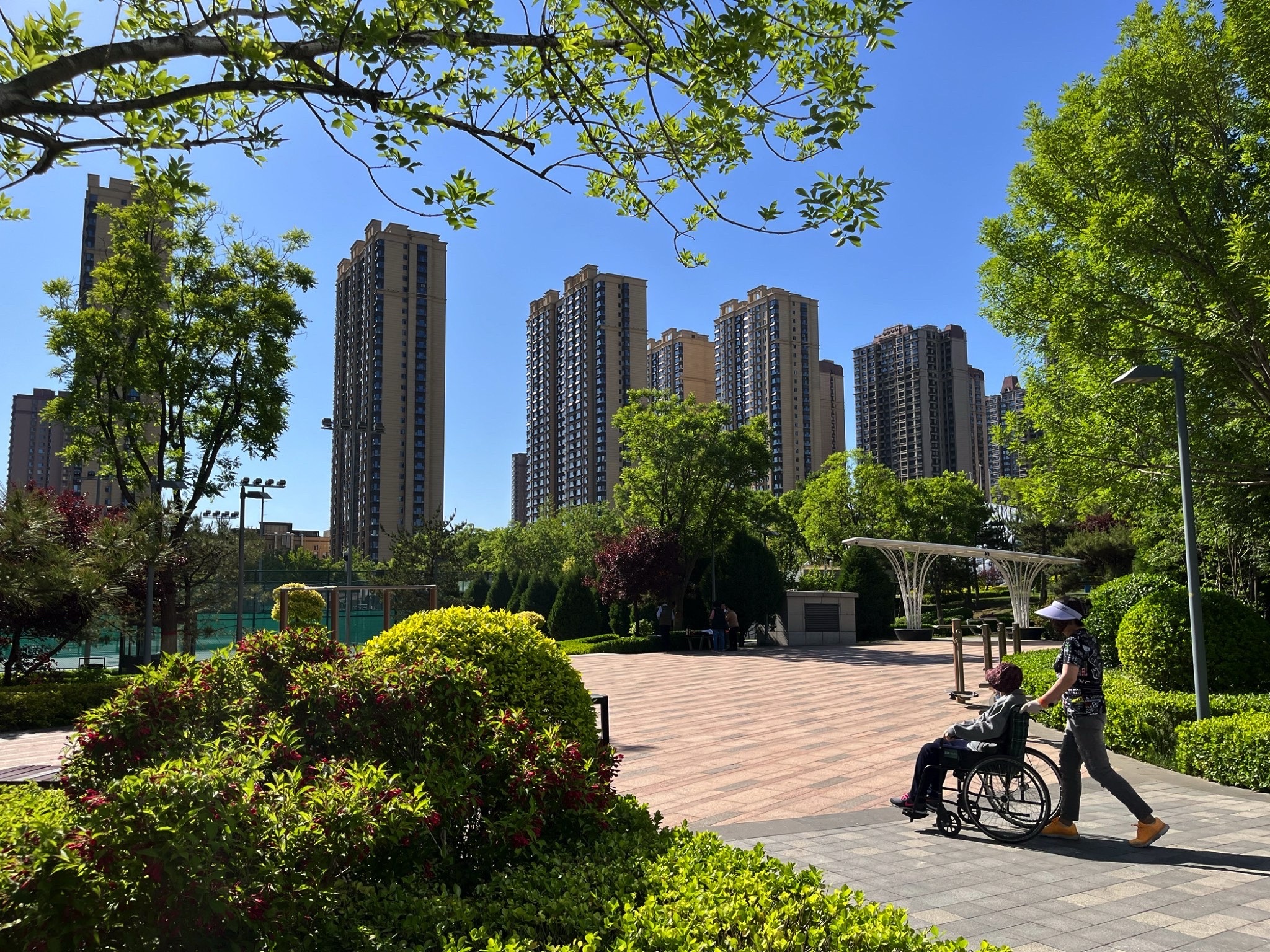 滨河体育公园旅行图片