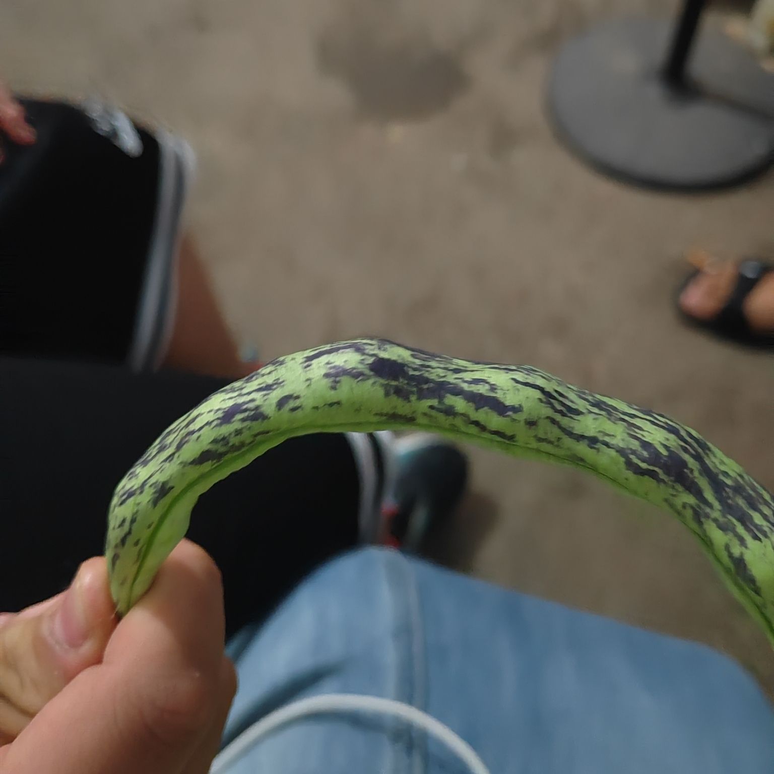 盆窑艺术小镇