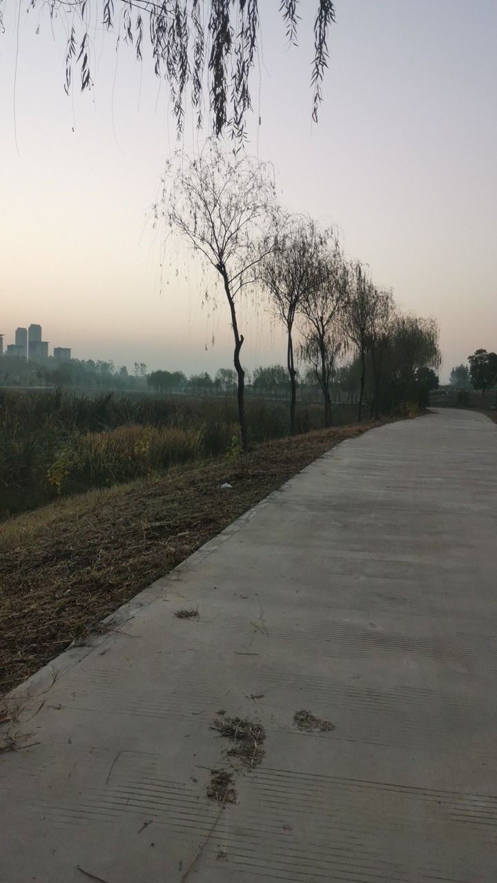 北涝圩湿地