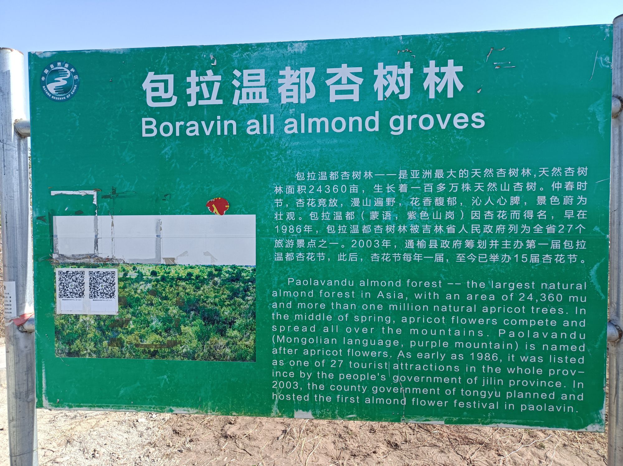 万亩杏花林景区旅行图片