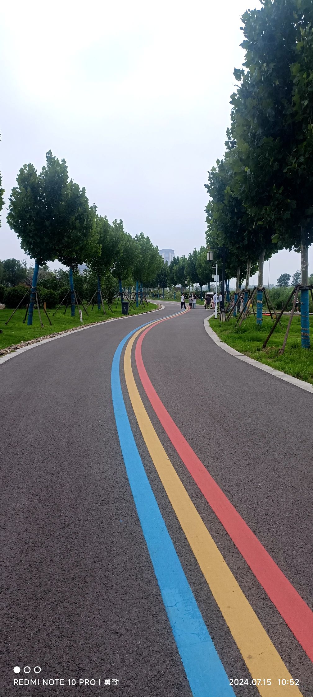 龙吟湖国家湿地公园旅行图片