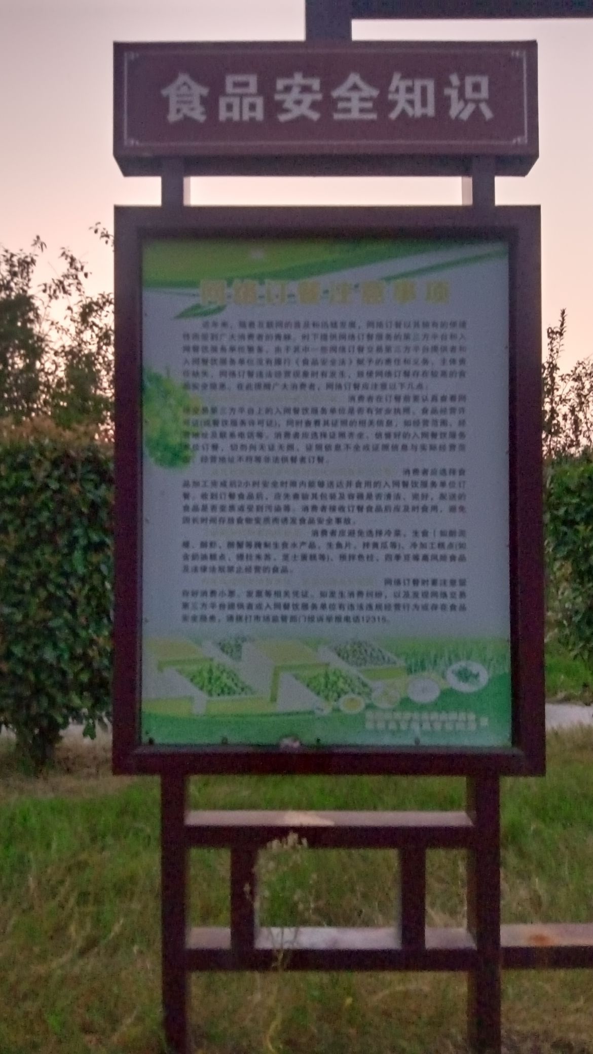 桂湖五彩森林公园