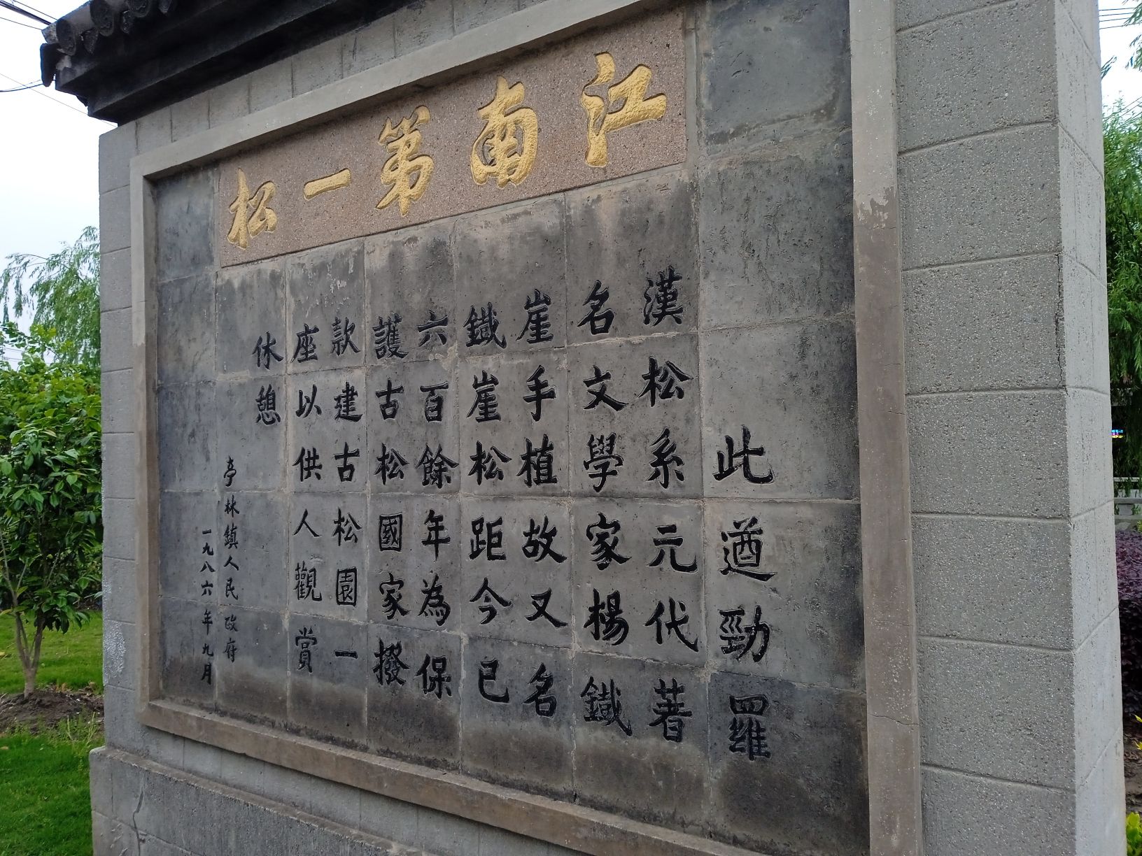 江南第一松