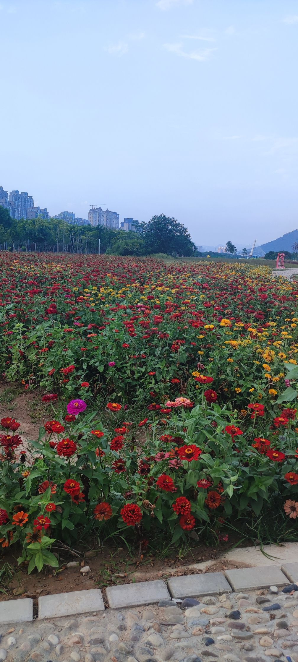 市民休闲公园