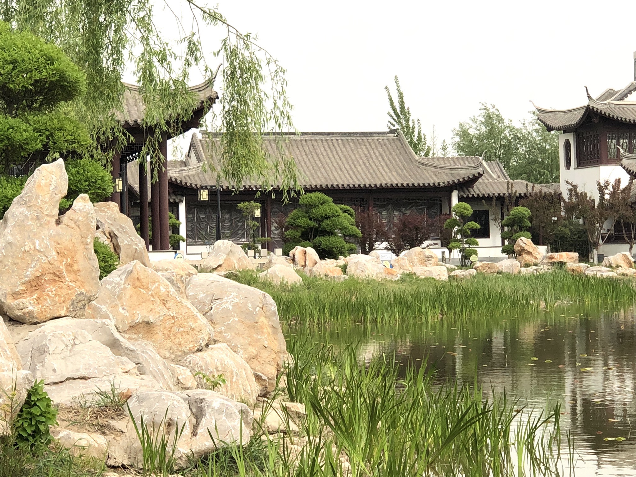 兴华公园旅行图片