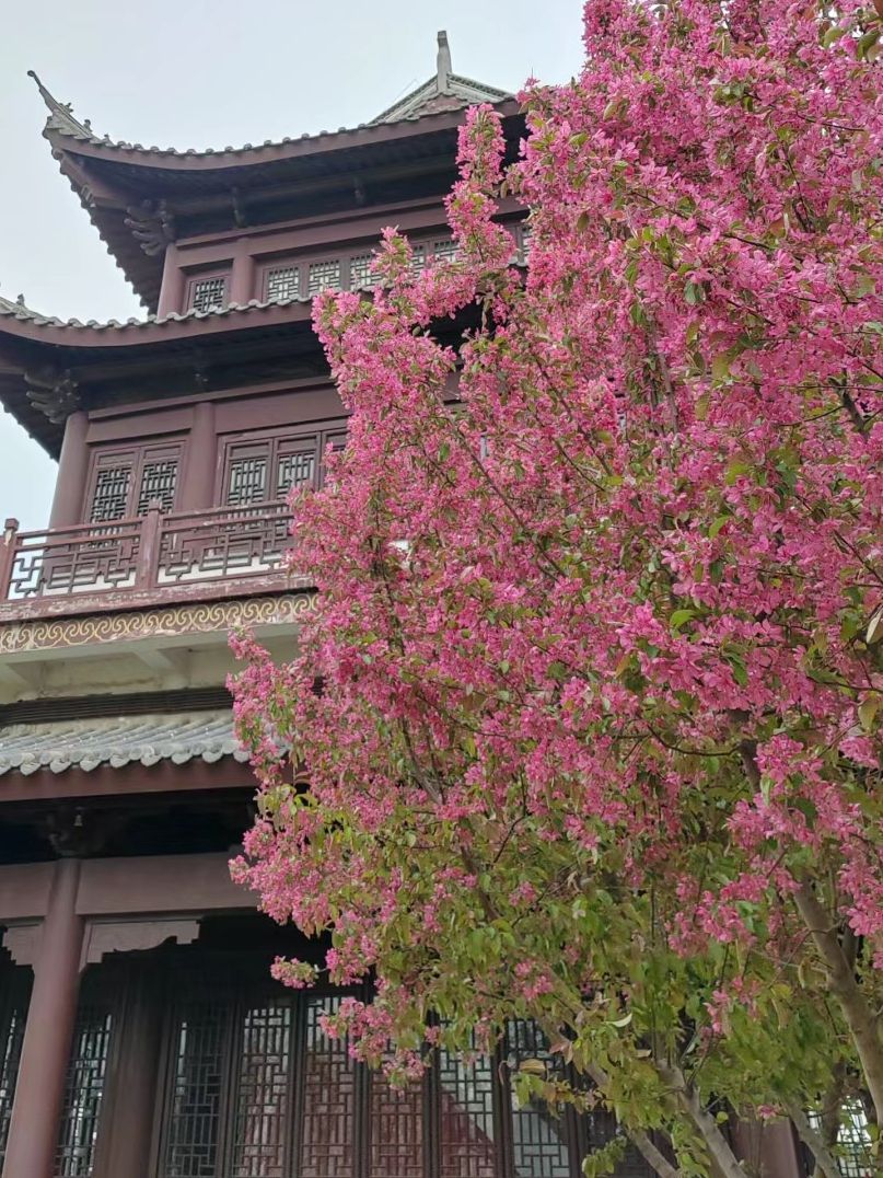 兴华公园旅行图片