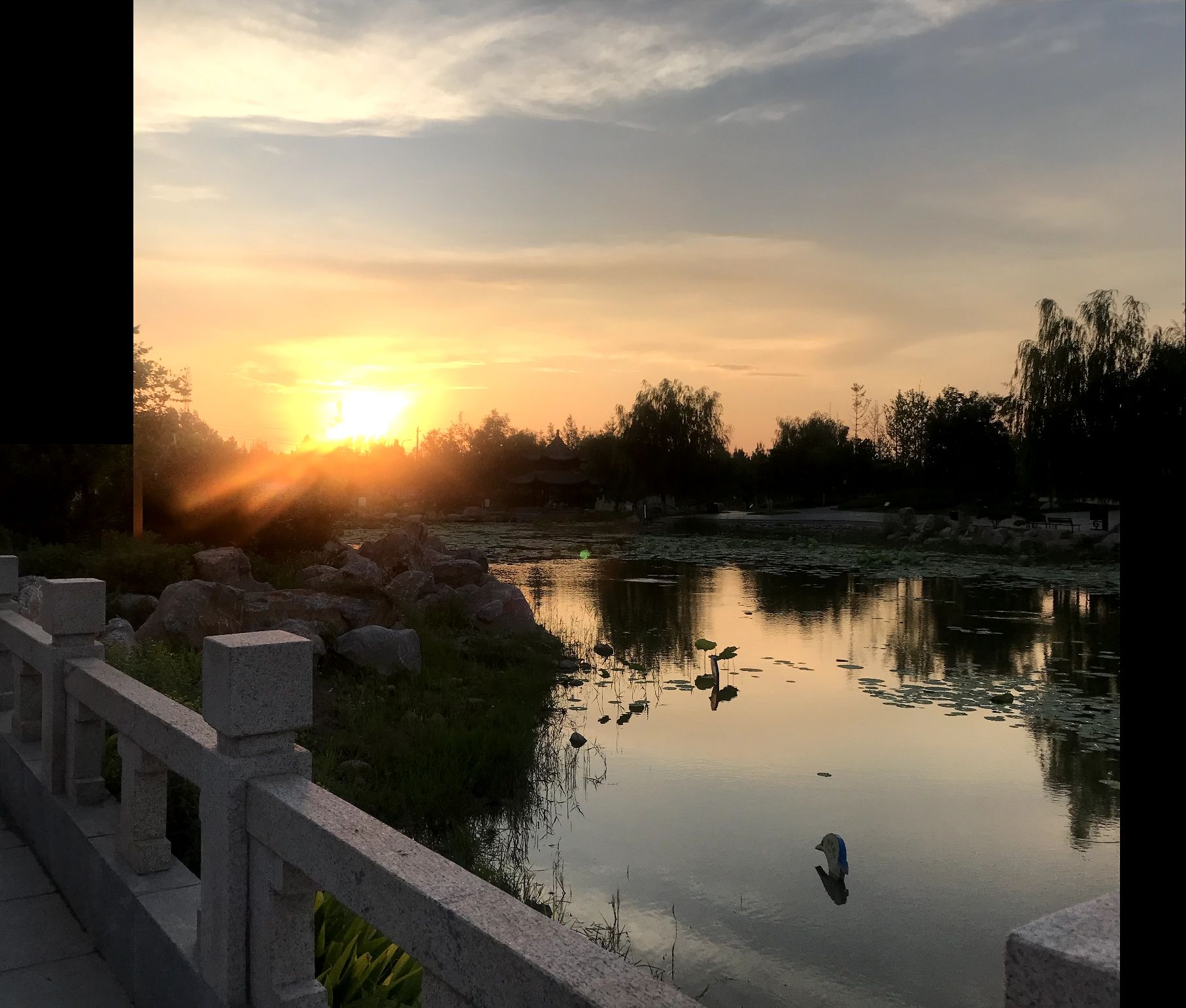 兴华公园旅行图片