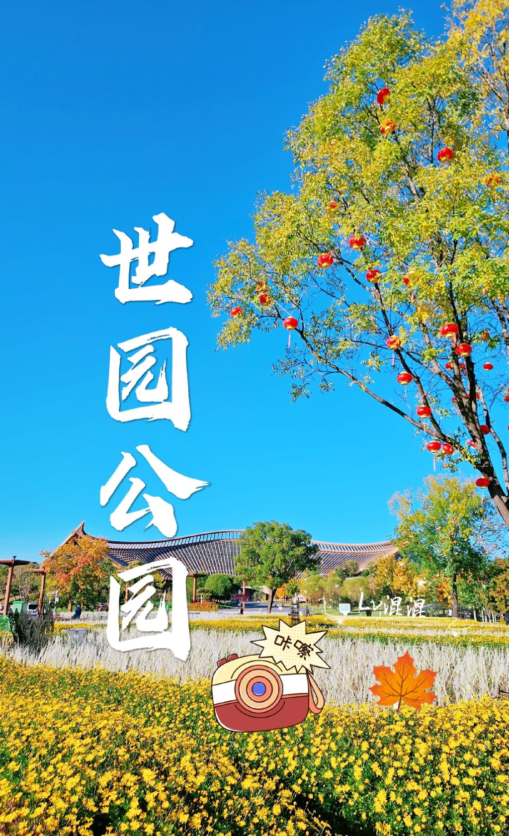 北京世园国际旅游度假区旅行图片