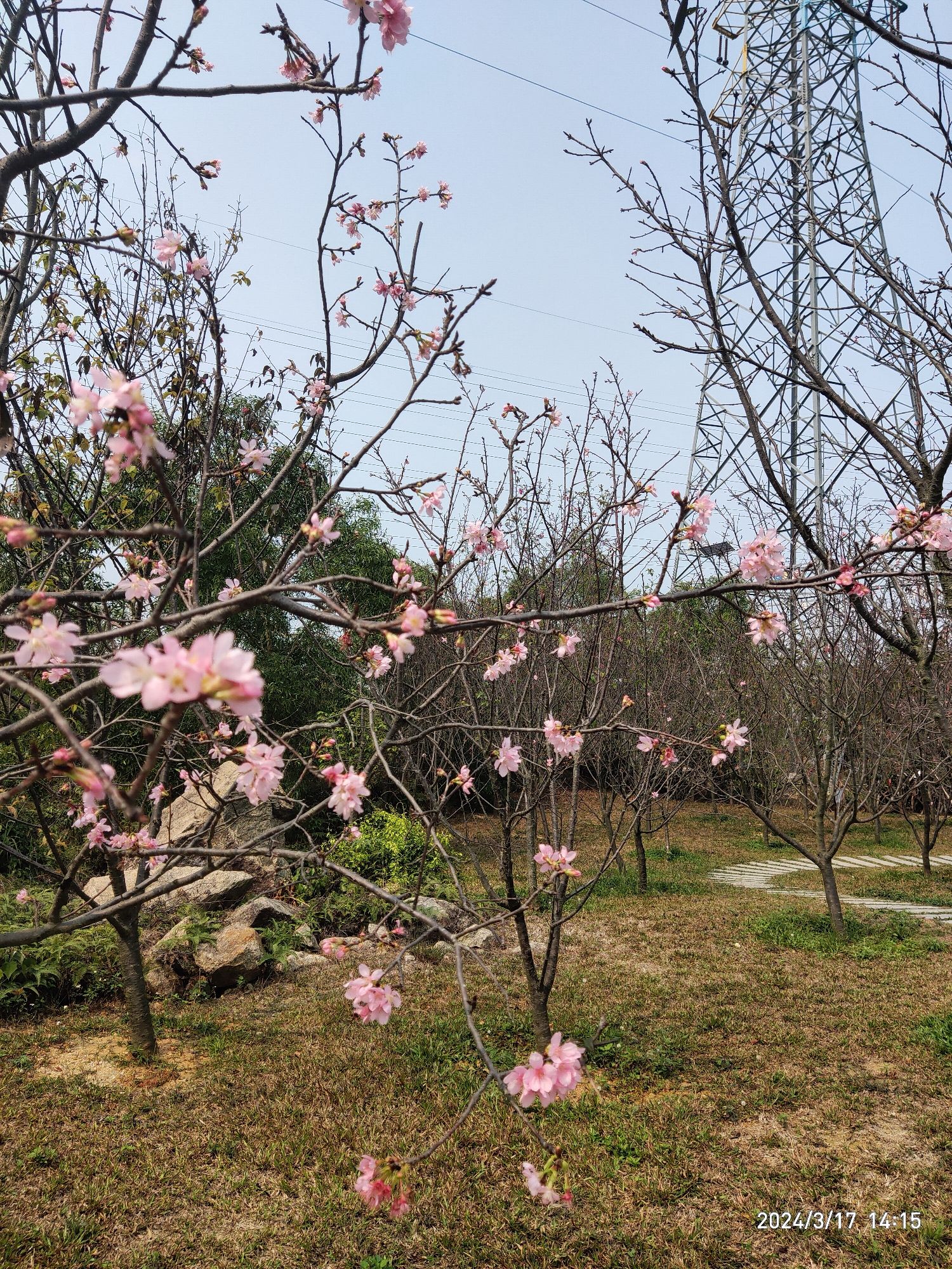 观音山郊野公园