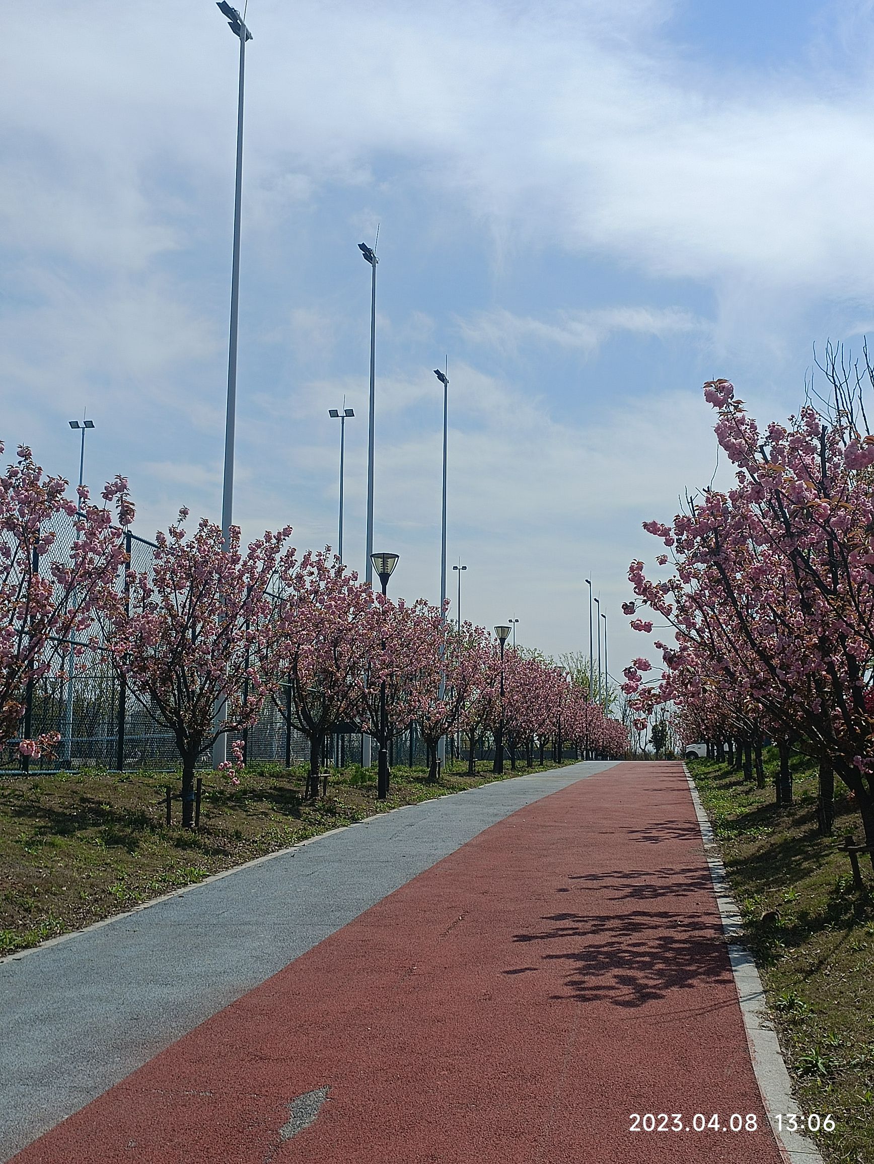 来安产业新城阳明湖公园