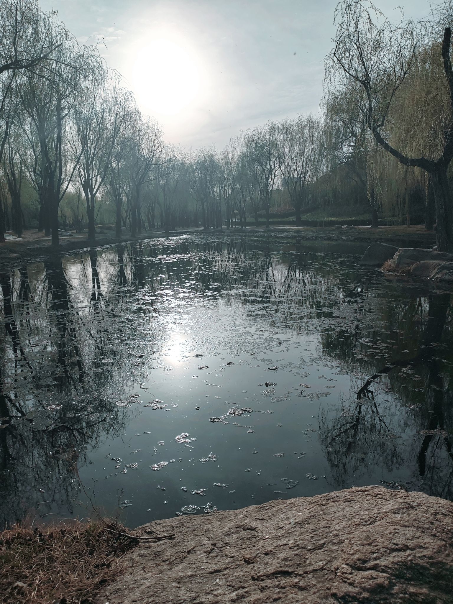 李沧区溪流湿地旅行图片