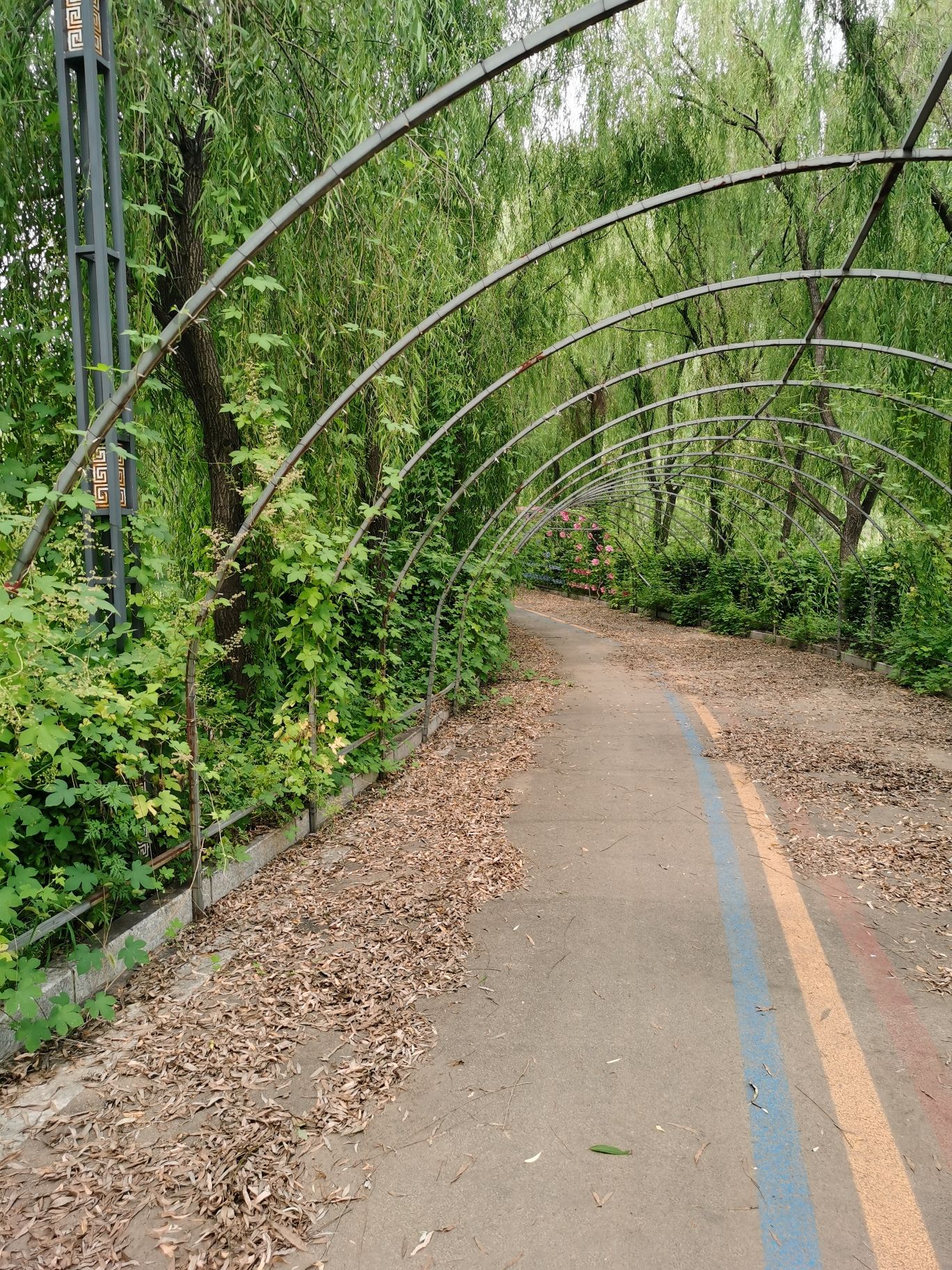 金斗山景区
