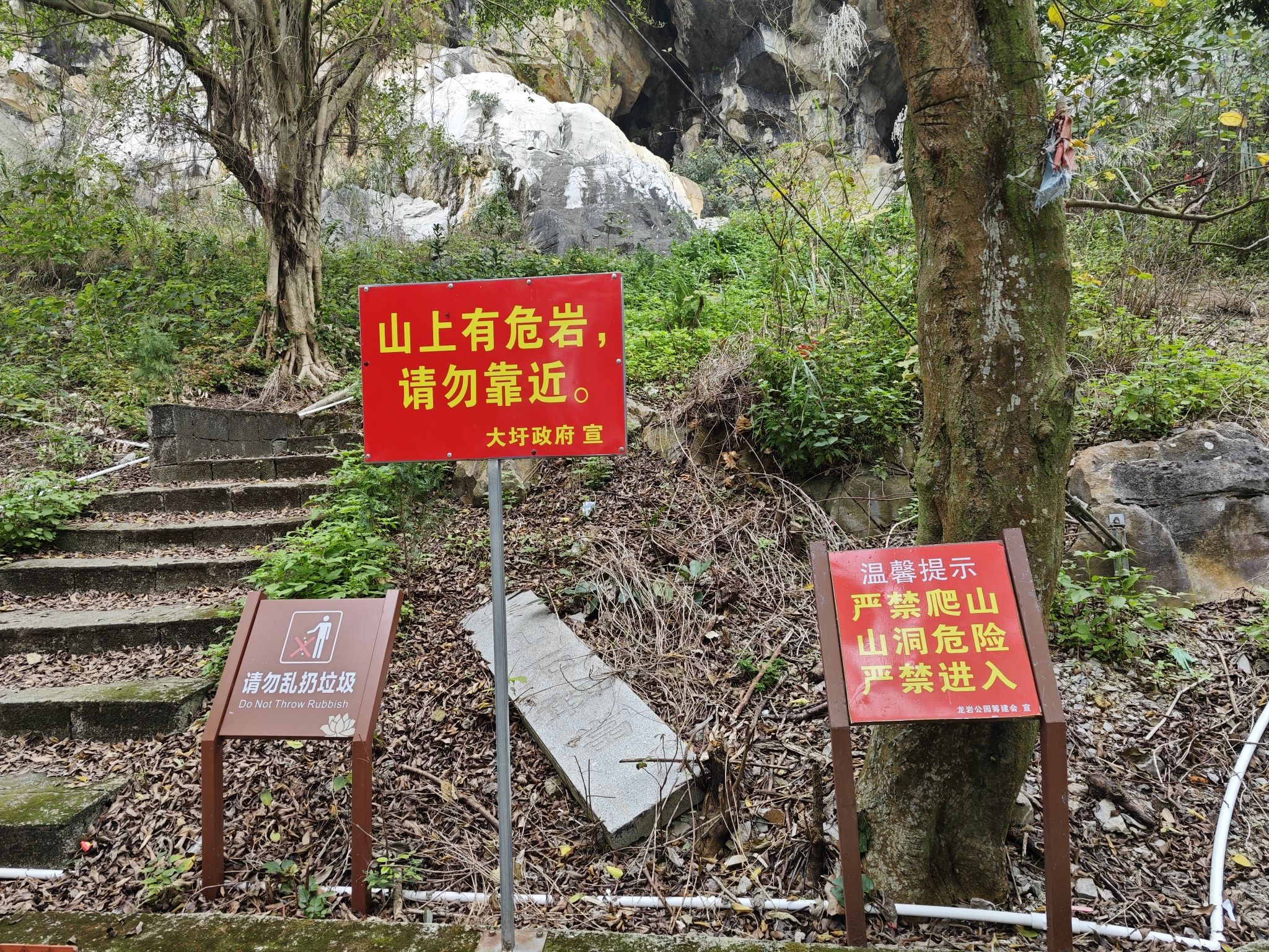龙岩公园(暂停开放)旅行图片